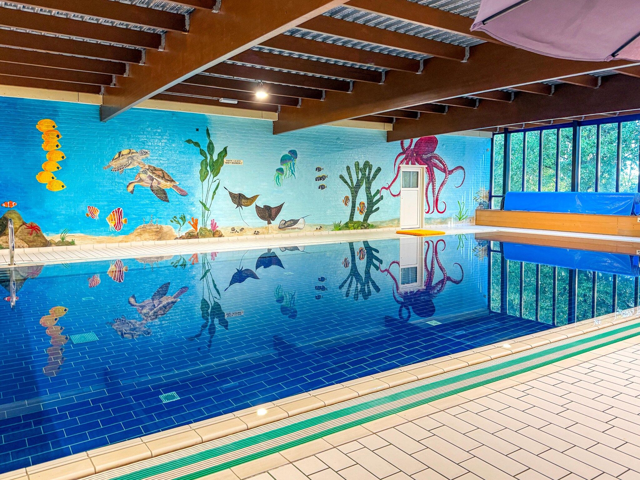 7 - Persoons Forest 217 Sauna Bungalow (copy) (copy) (copy) (copy) in Ewijk - Foto 8 van 37