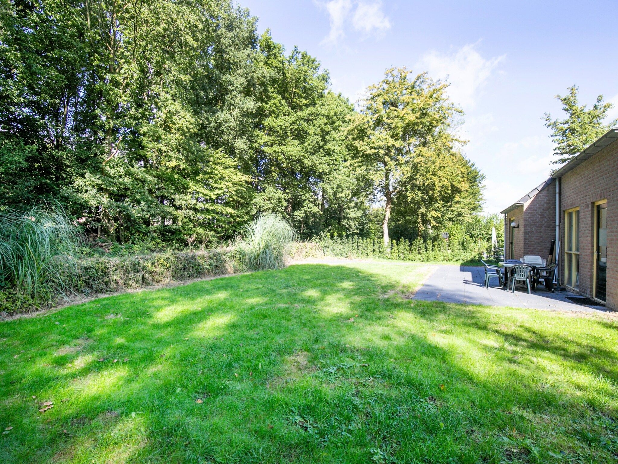 De tuin van 7 - Persoons Forest 217 Sauna Bungalow (copy) (copy) (copy) in Ewijk