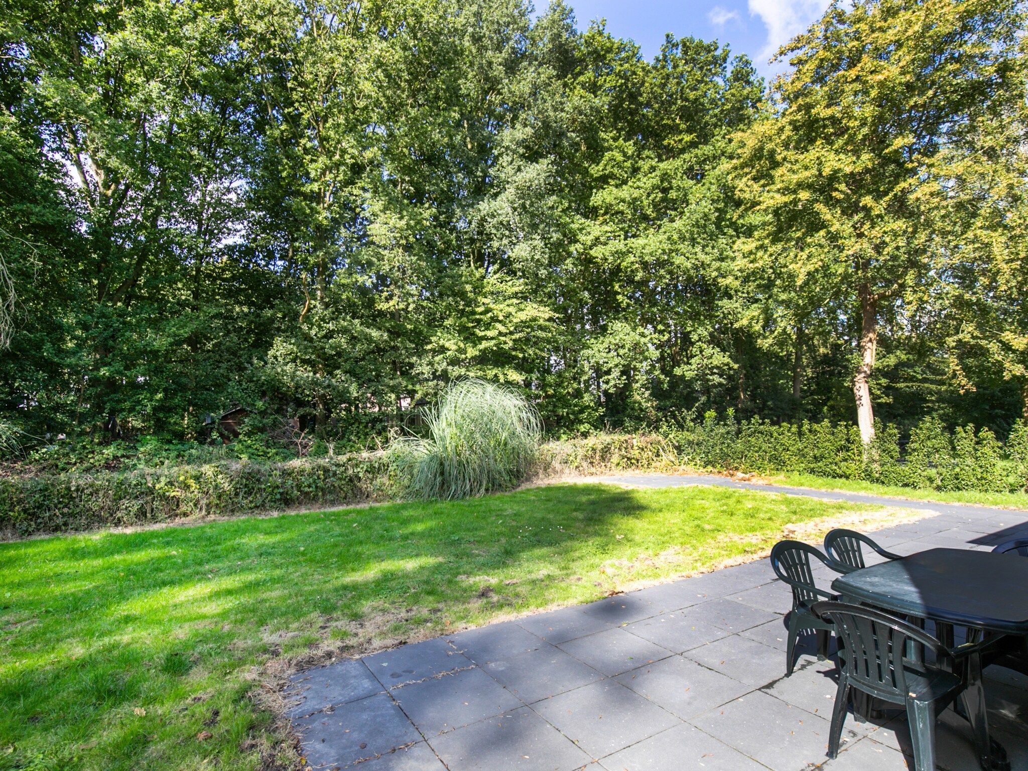 Het terras van 7 - Persoons Forest 217 Sauna Bungalow (copy) (copy) (copy) in Ewijk