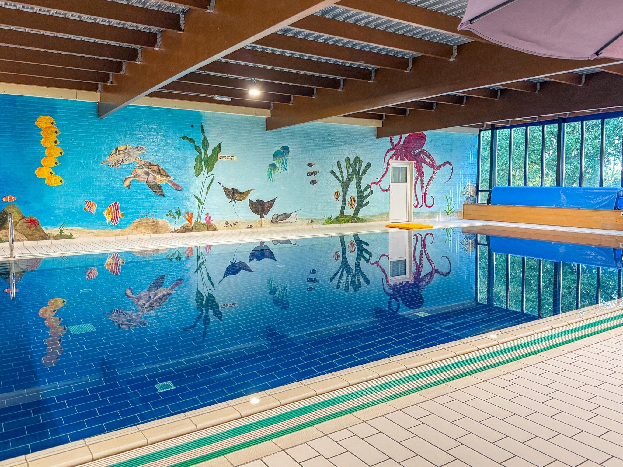 7 - Persoons Forest 217 Sauna Bungalow (copy) (copy) (copy) in Ewijk - Foto 8 van 39