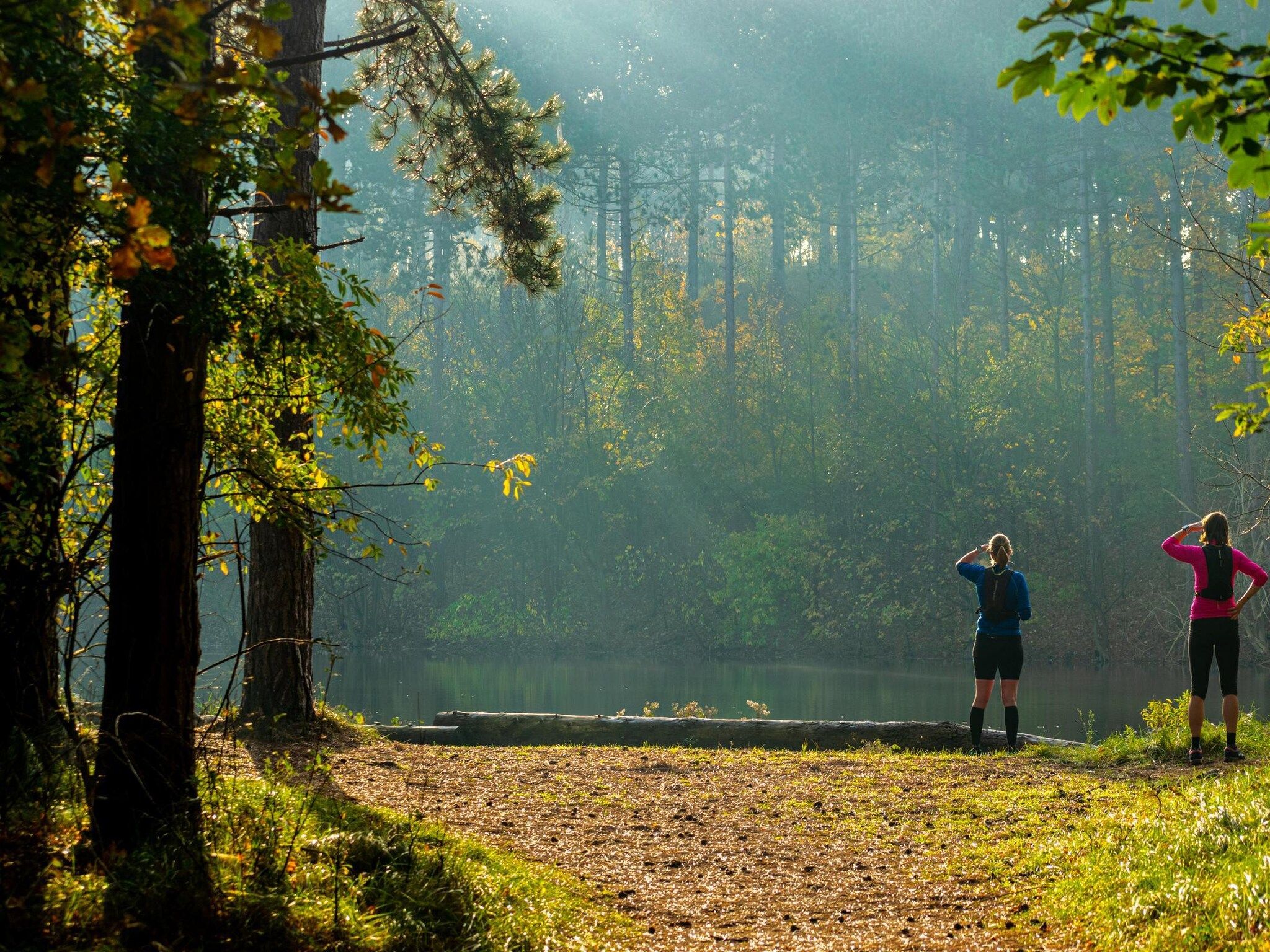 De omgeving van Duinhoeve Chalet Zeeland (huisdier toegestaan) in Burgh-Haamstede
