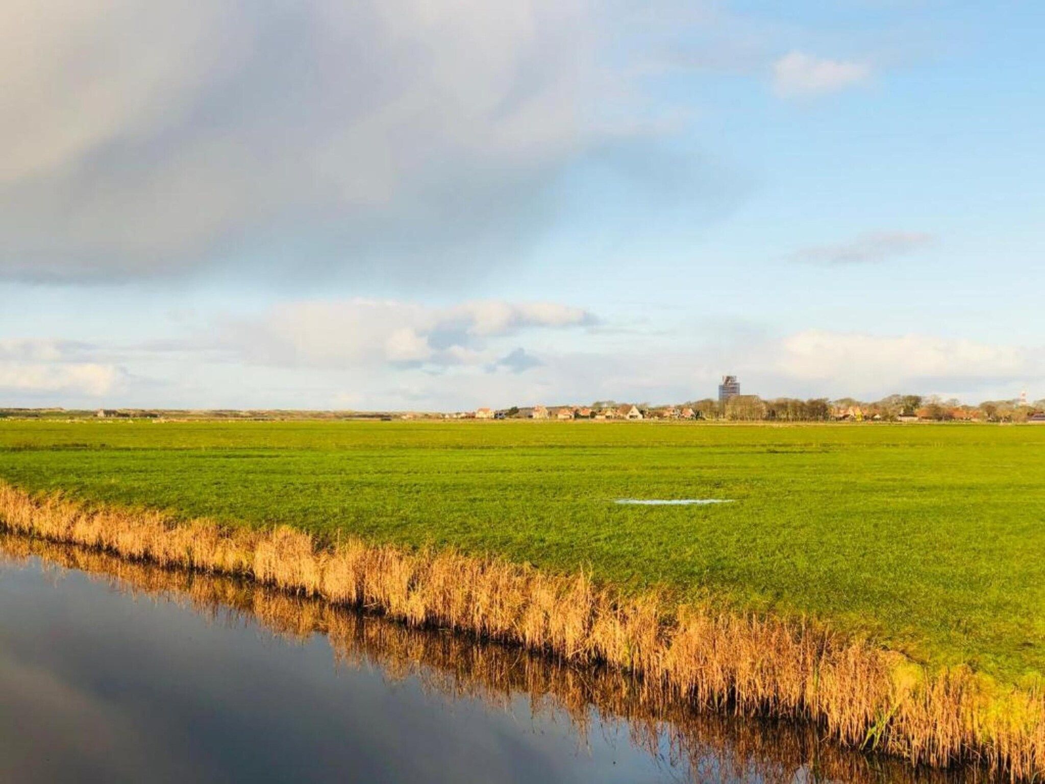 Comfort Chalet in Hollum - Foto 23 van 35