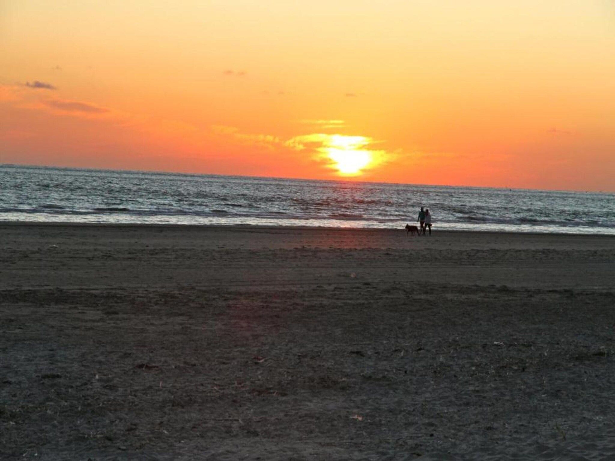 Comfort Chalet in Hollum - Foto 31 van 35