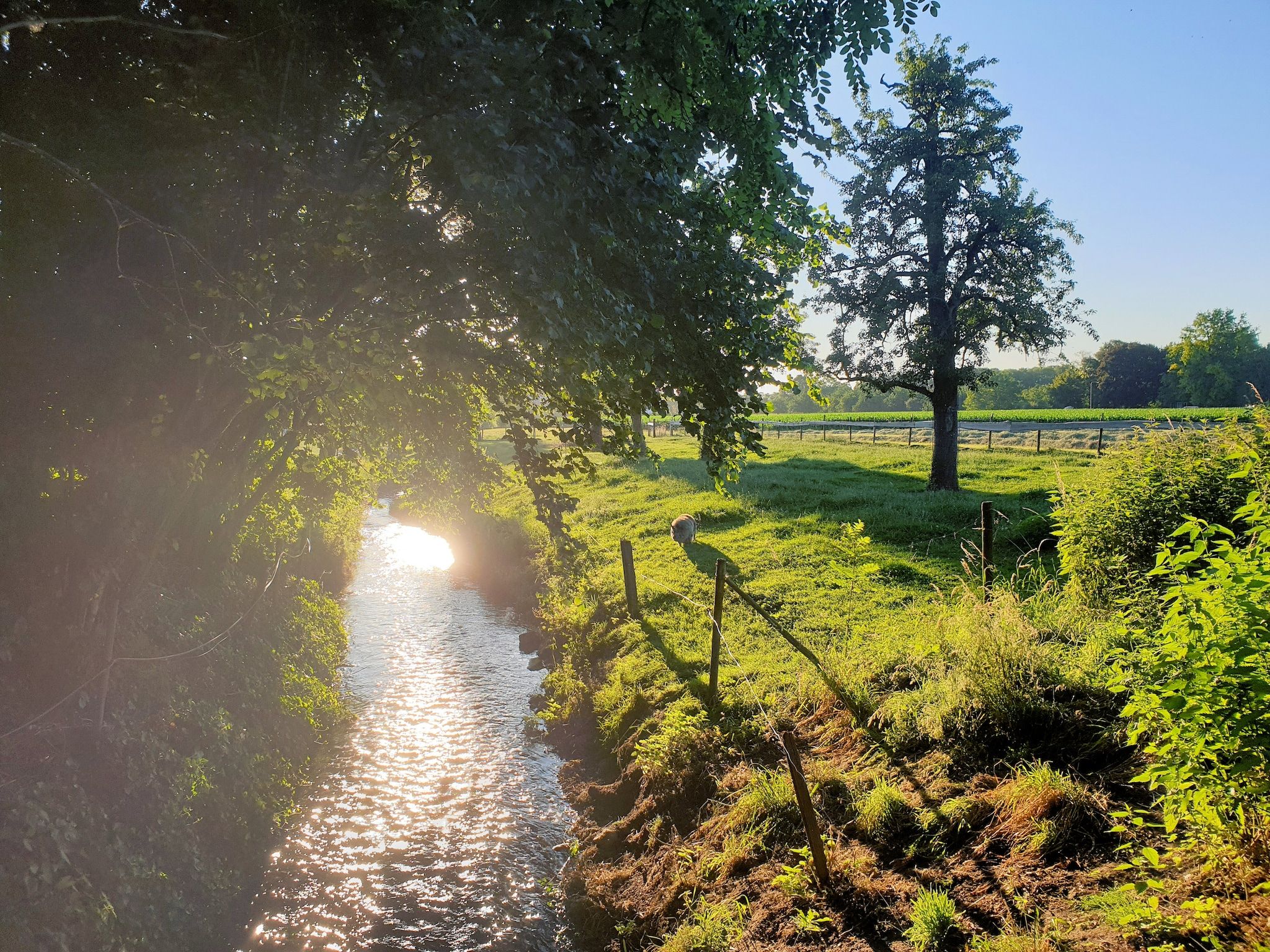 De omgeving van Meschermolen 12 in Mesch-Eijsden