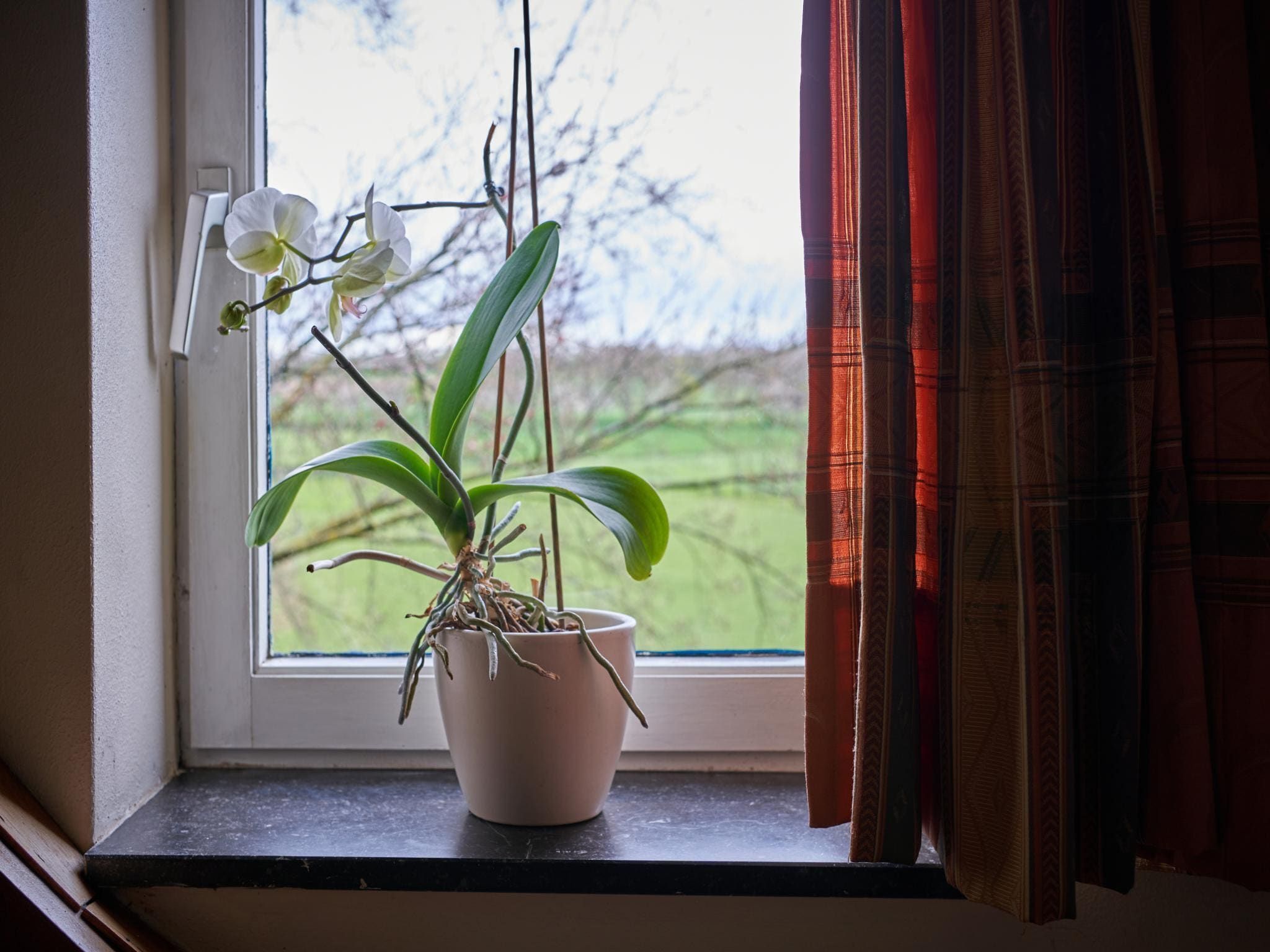 Sfeerbeeld van Meschermolen 12 in Mesch-Eijsden