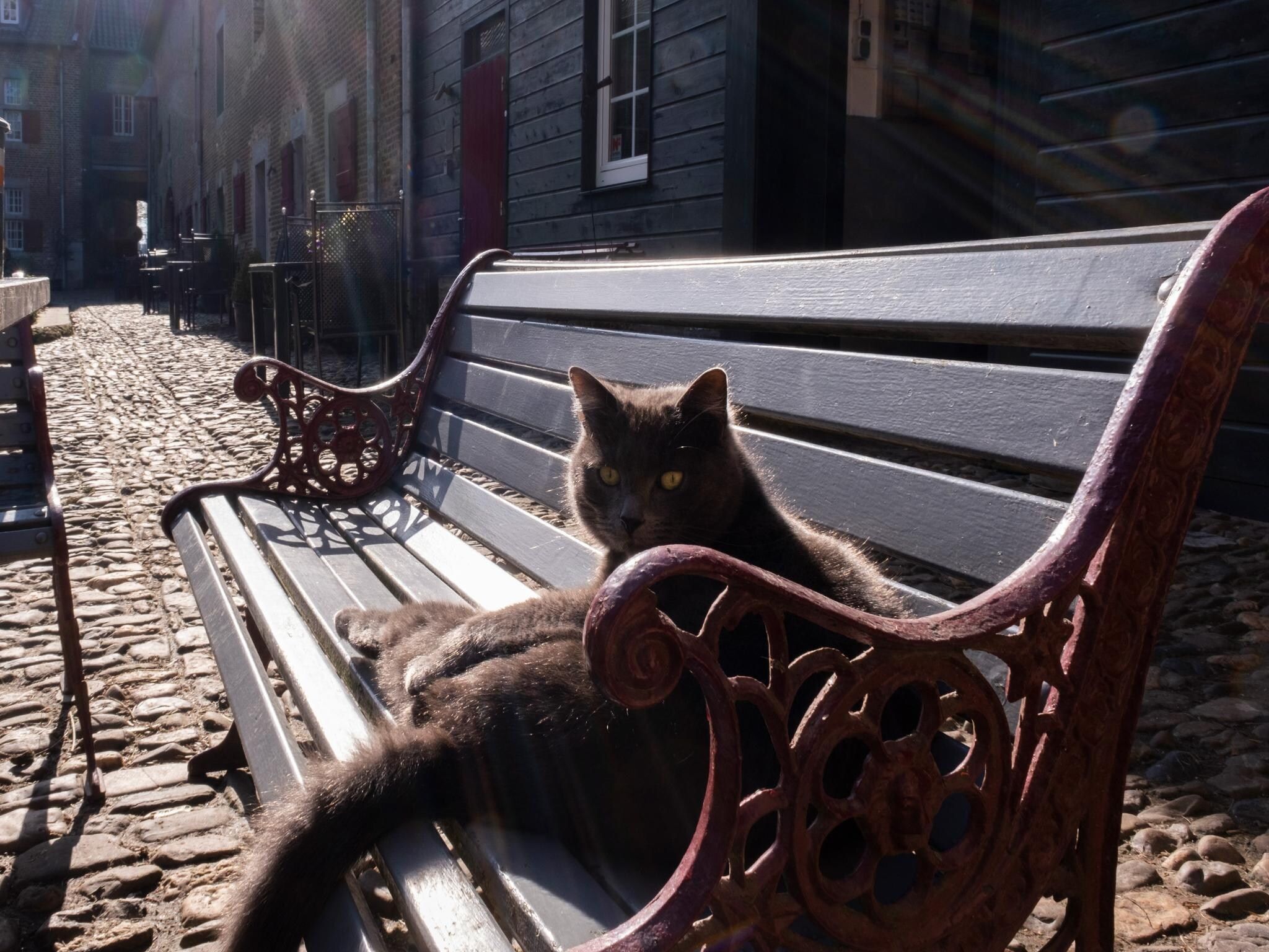 Wellness bij Meschermolen 12 in Mesch-Eijsden