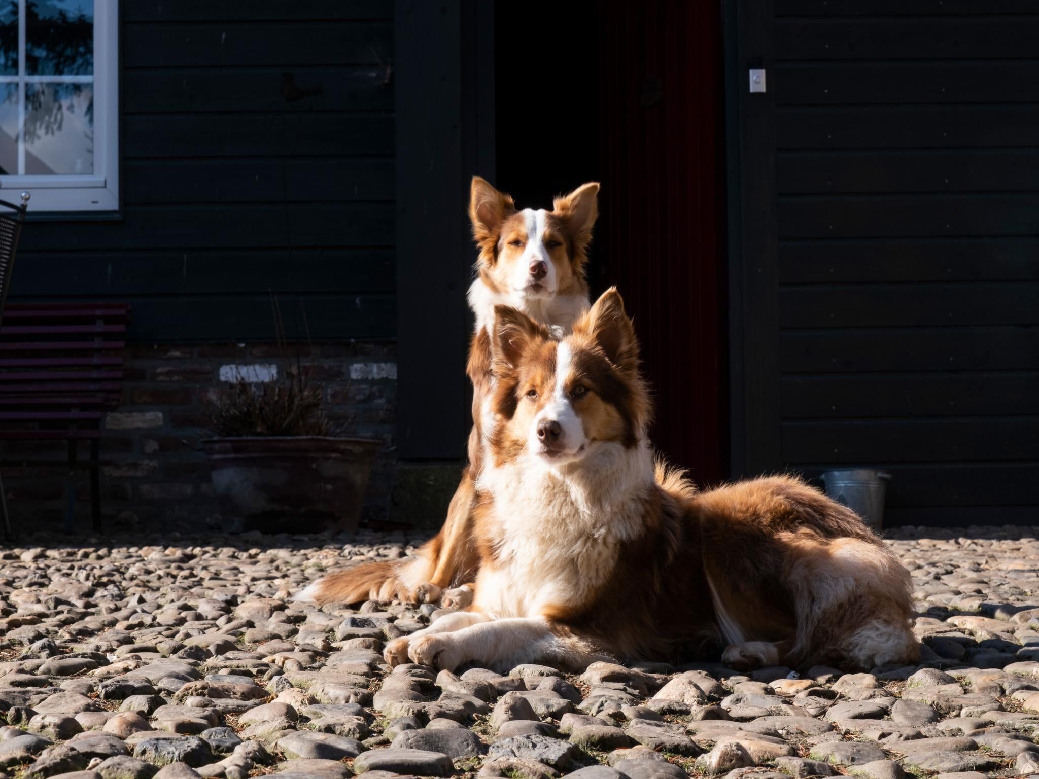 Wellness bij Meschermolen 12 in Mesch-Eijsden