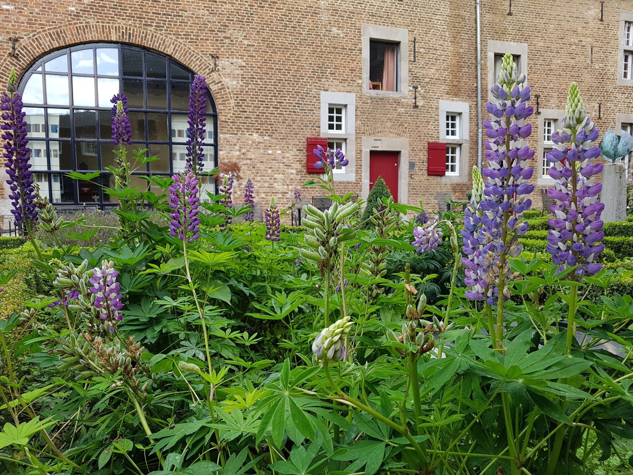 Sfeerbeeld van Meschermolen 14 in Mesch-Eijsden