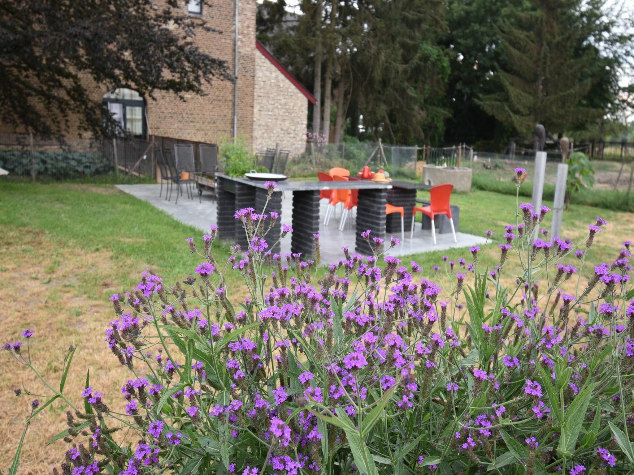 De tuin van Meschermolen 14 in Mesch-Eijsden