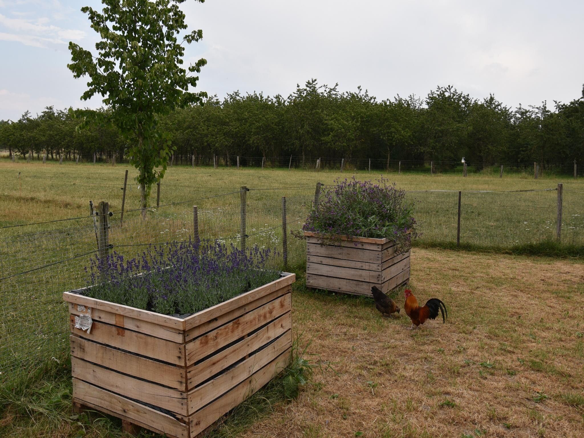 De tuin van Meschermolen 14 in Mesch-Eijsden