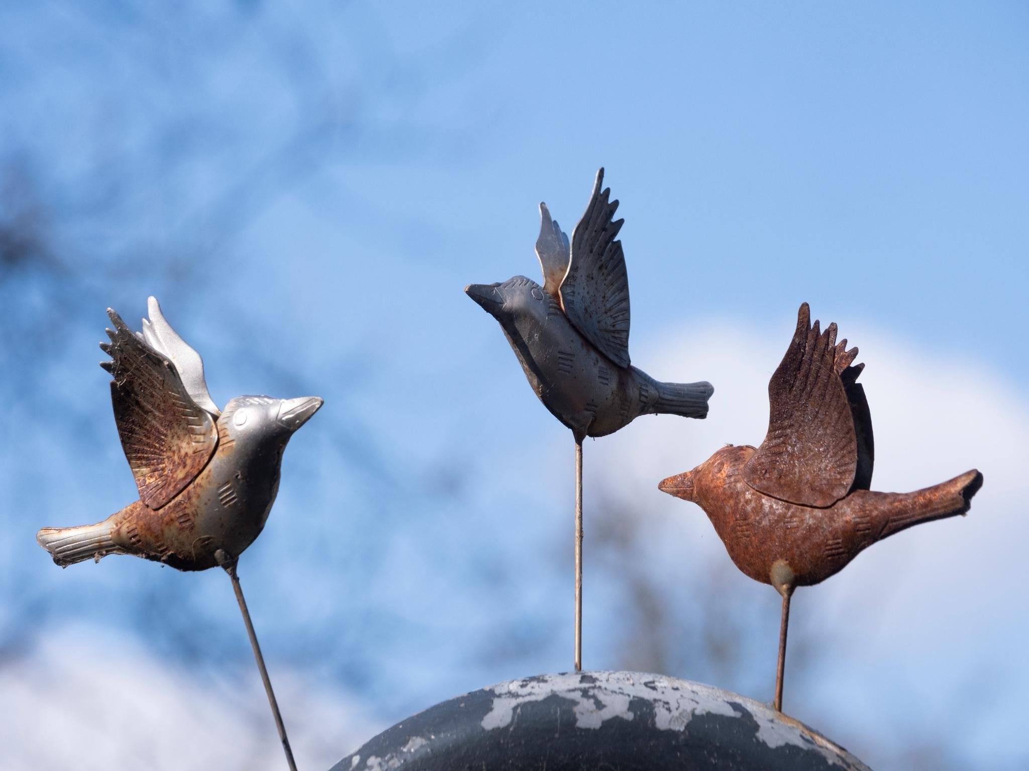De omgeving van Meschermolen 3 in Mesch-Eijsden