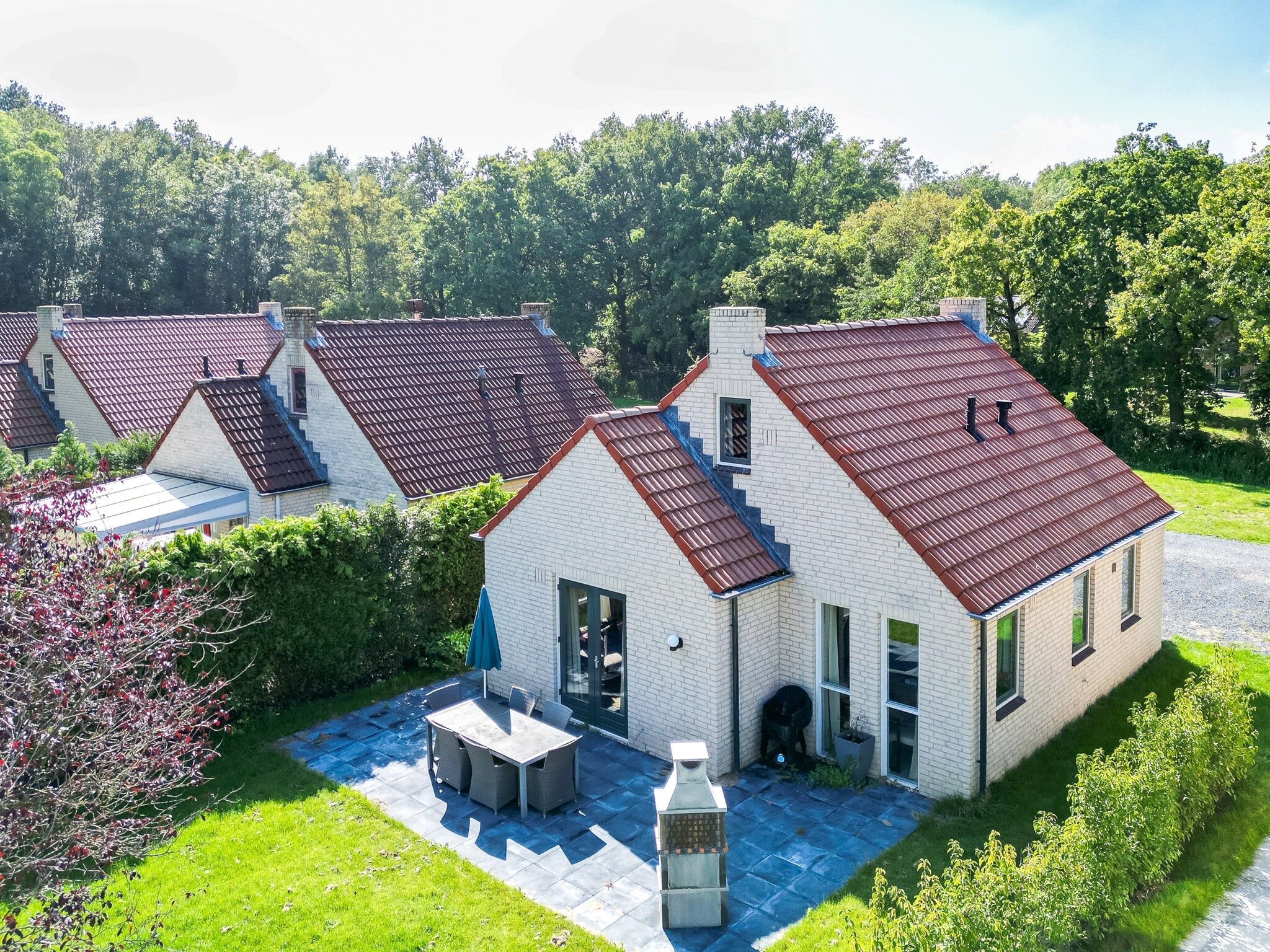 De buitenkant van 7 - Persoons Forest 217 Sauna Bungalow (copy) (copy) (copy) (copy) in Ewijk