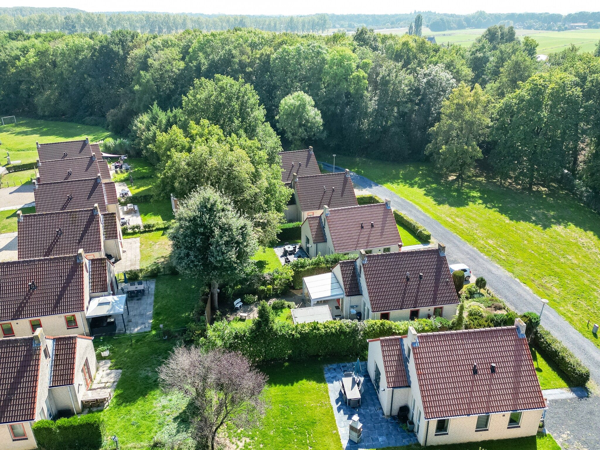 7 - Persoons Forest 217 Sauna Bungalow (copy) (copy) (copy) (copy) in Ewijk - Foto 38 van 40