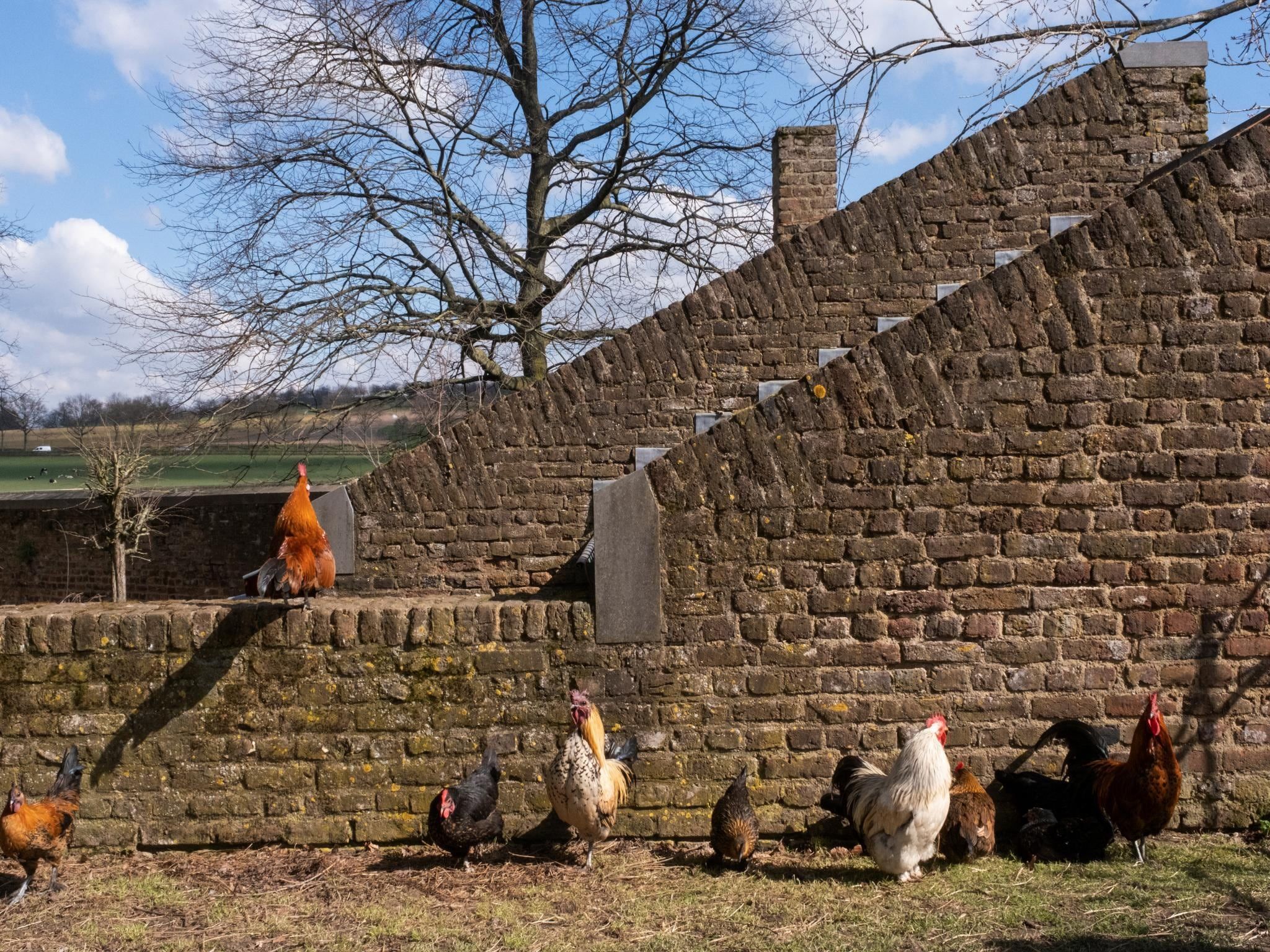 Voorzieningen bij Meschermolen 8 in Mesch-Eijsden