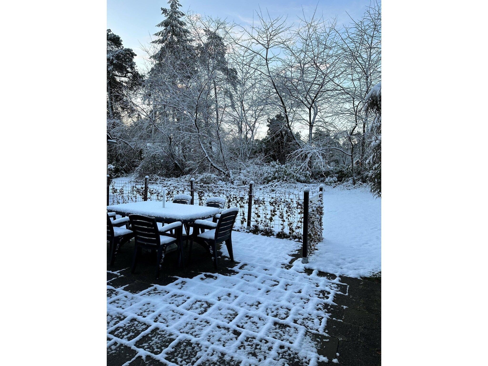 Het terras van BOSRIJK in Lochem