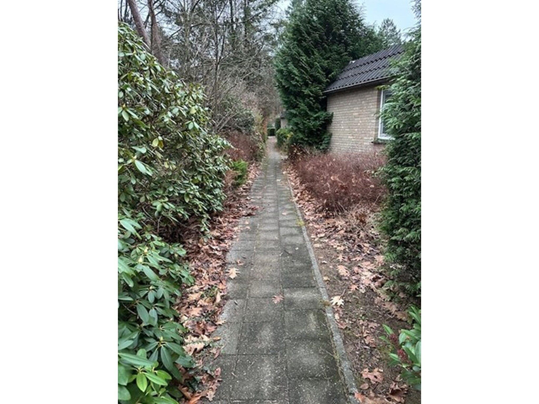 BOSRIJK in Lochem - Foto 23 van 27