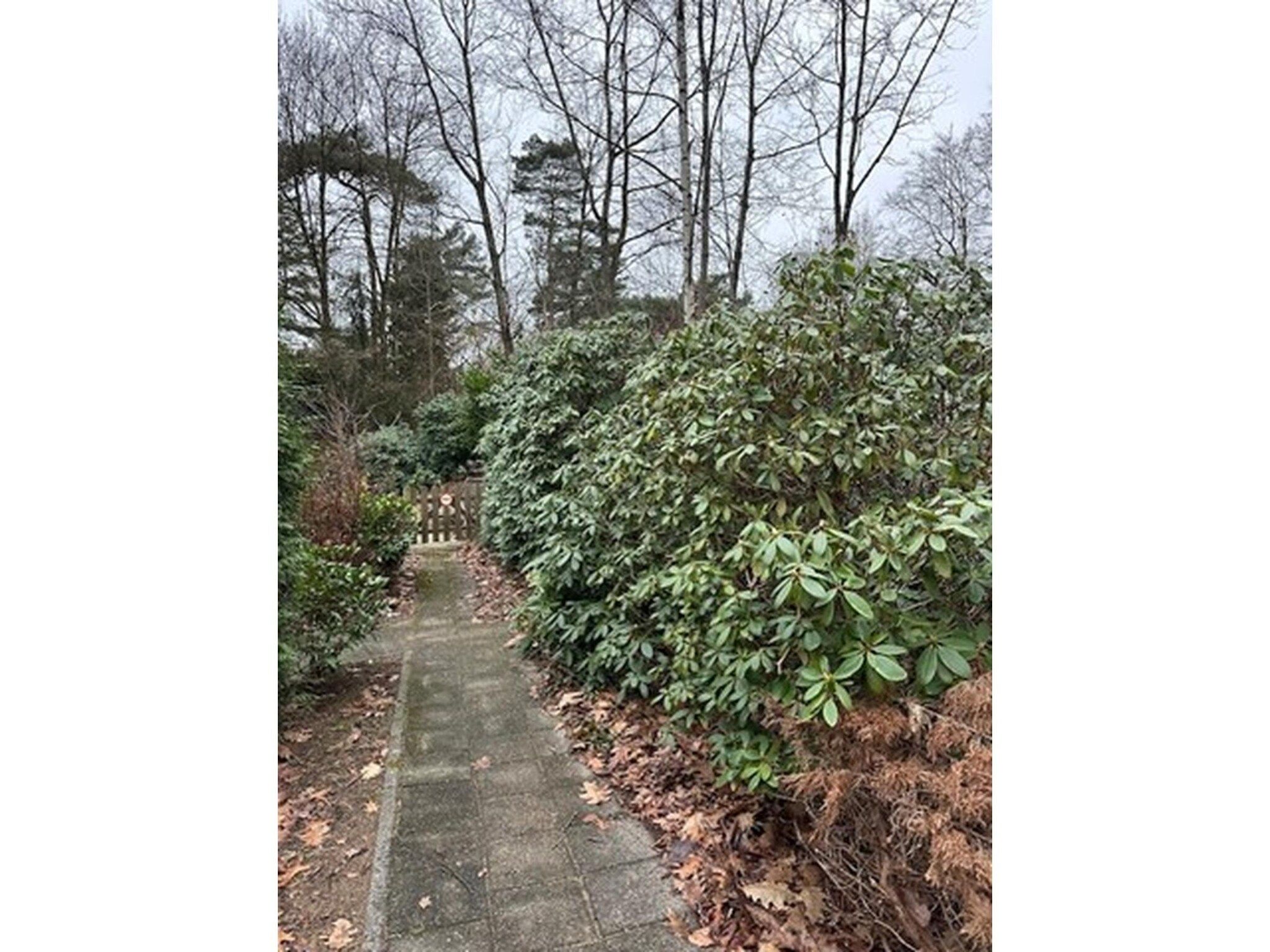 BOSRIJK in Lochem - Foto 24 van 27