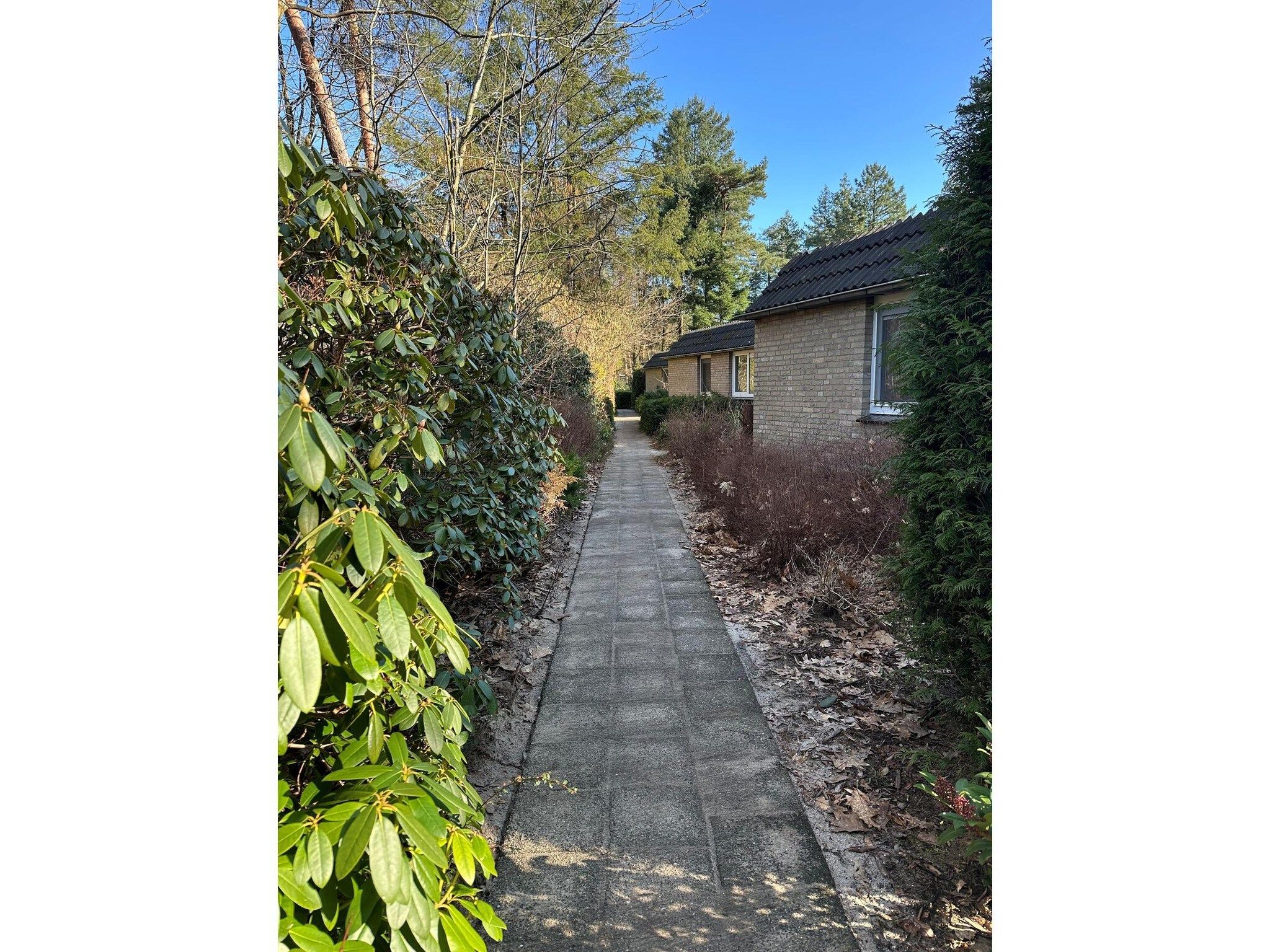 BOSRIJK in Lochem - Foto 26 van 27