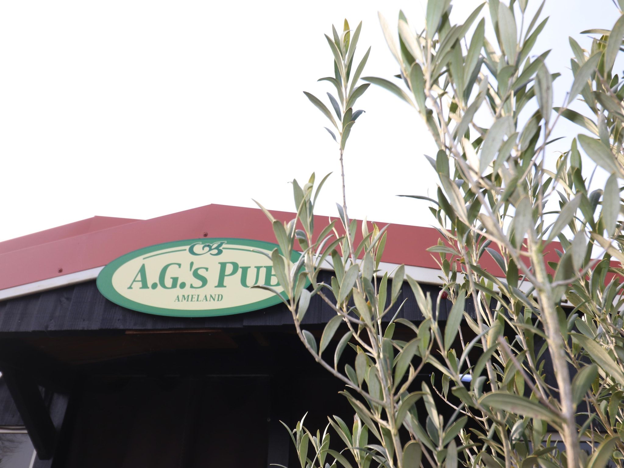 Parkfaciliteiten bij Duinchalet Ameland in Hollum