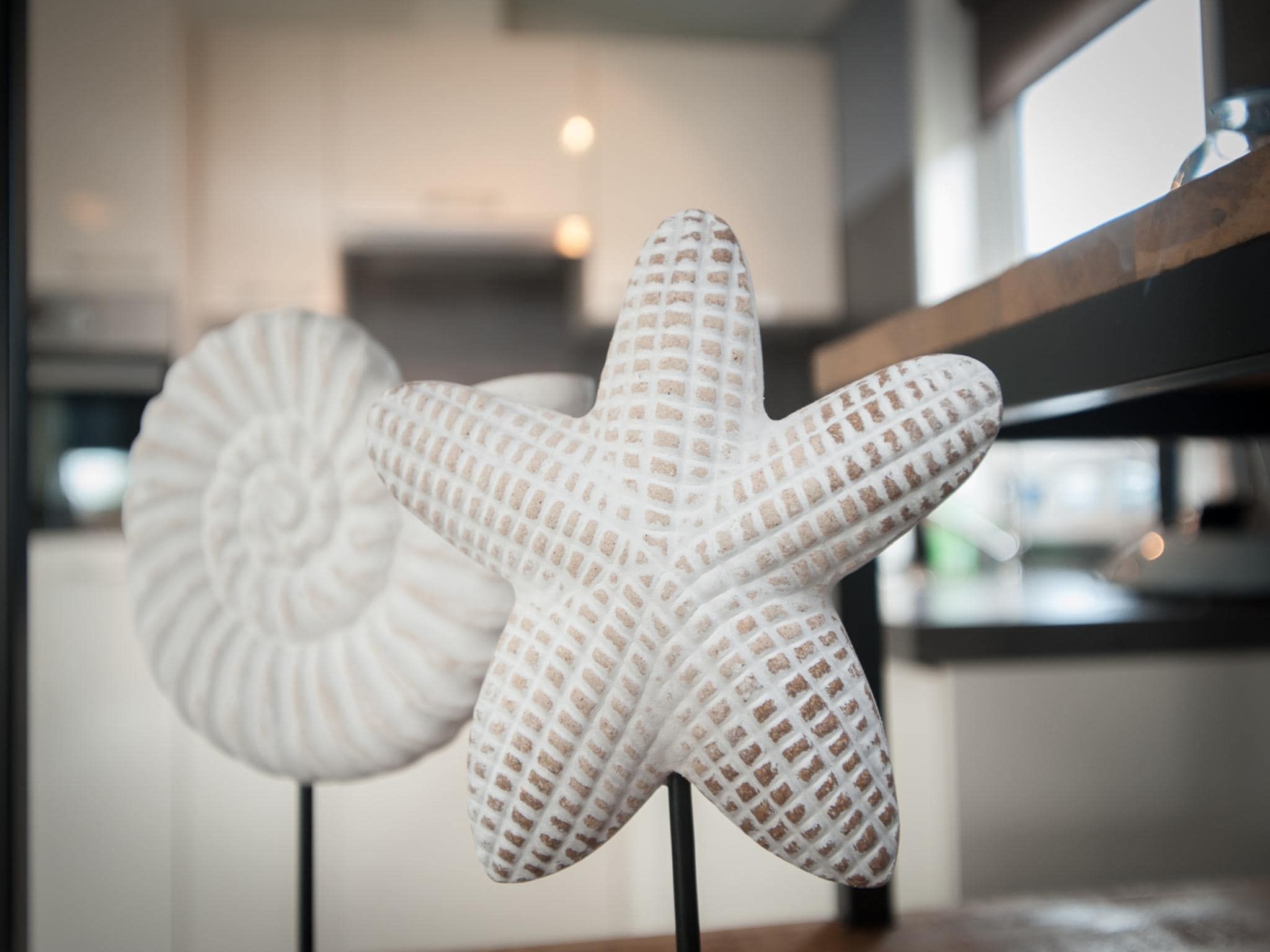 Sfeerbeeld van Chalet 4-persoons Huisdiervrij in Noordwijk