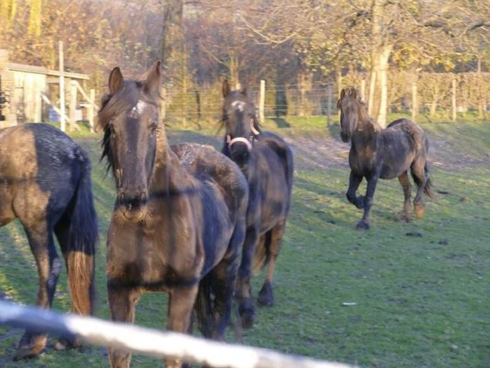 Meschermolen 13 in Mesch-Eijsden - Foto 34 van 36