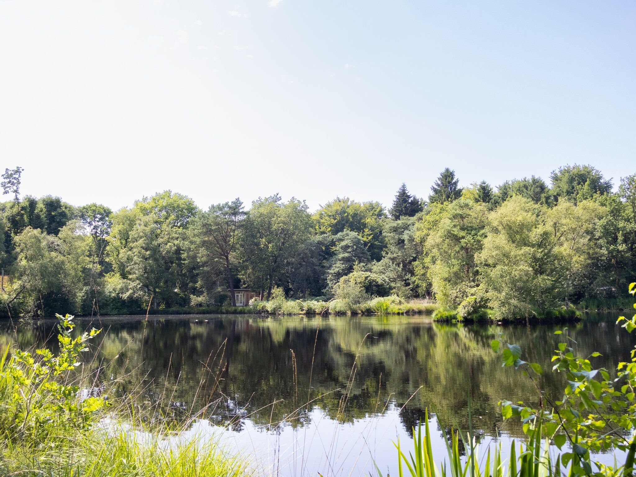 Huis in de Bossen in Een - Foto 23 van 24