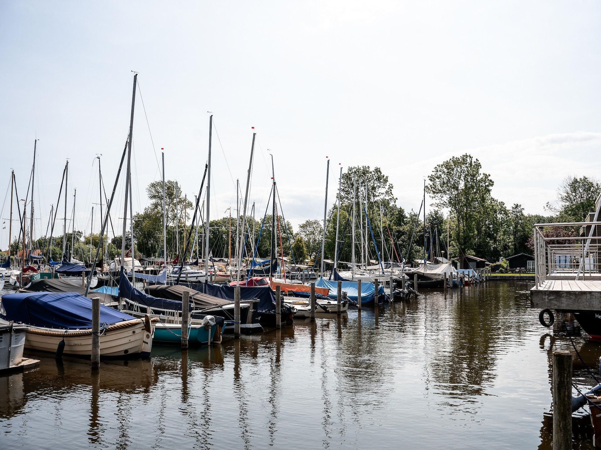 Wetterfrei in Elahuizen - Foto 36 van 39