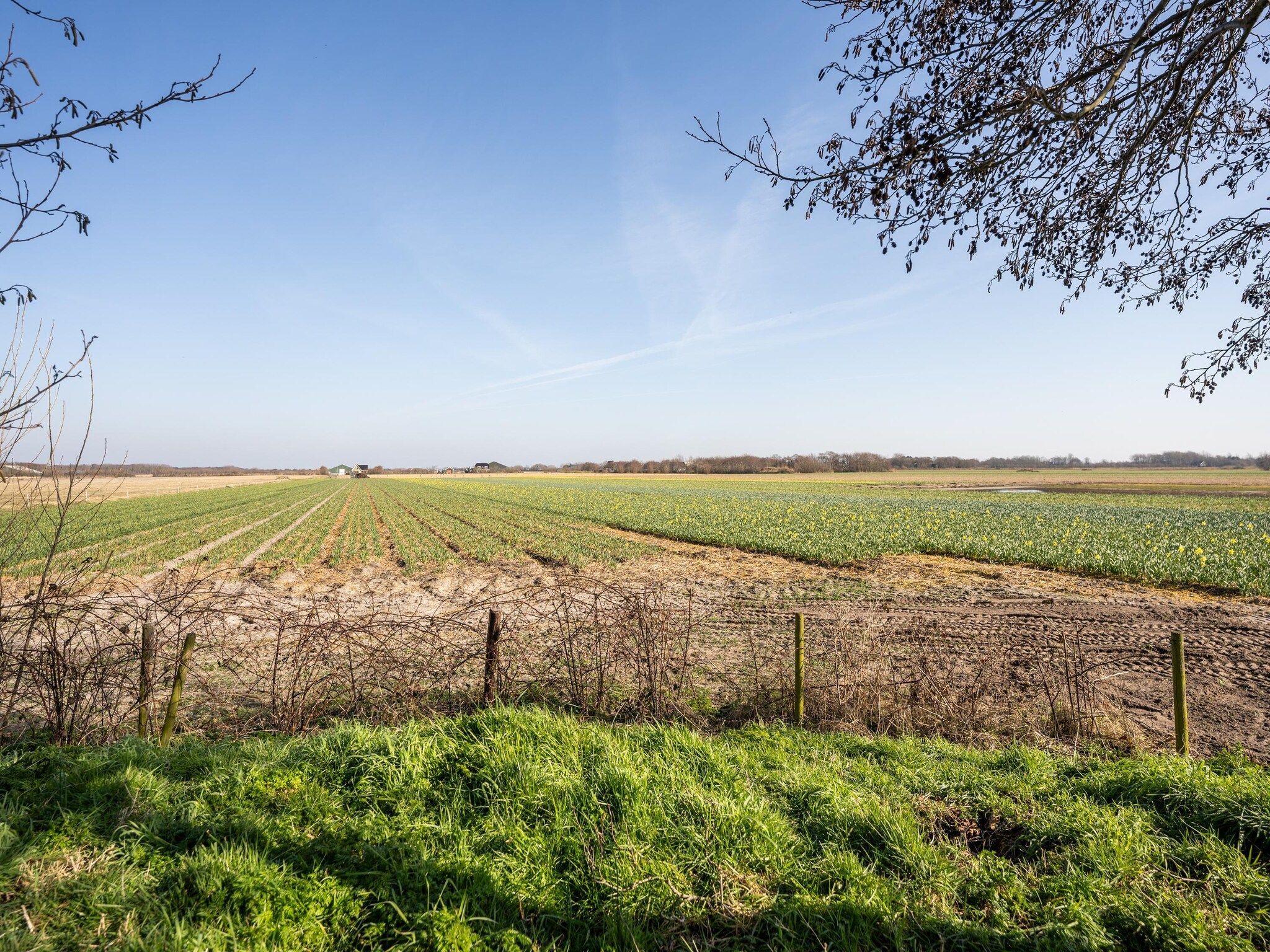 Mienterbos-Heideglop in De Koog - Foto 21 van 21