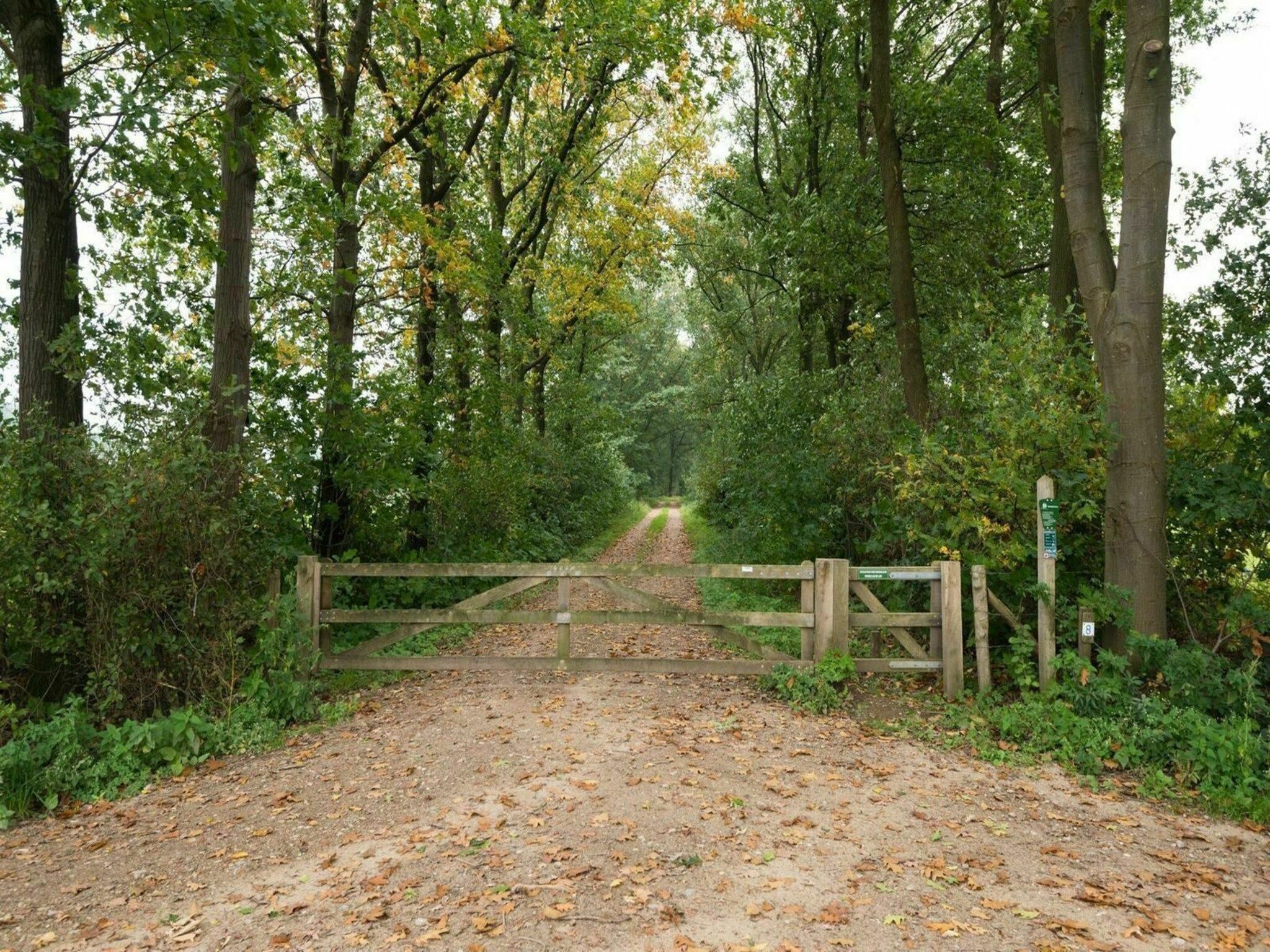 Boshoeve in Aalten - Foto 29 van 34