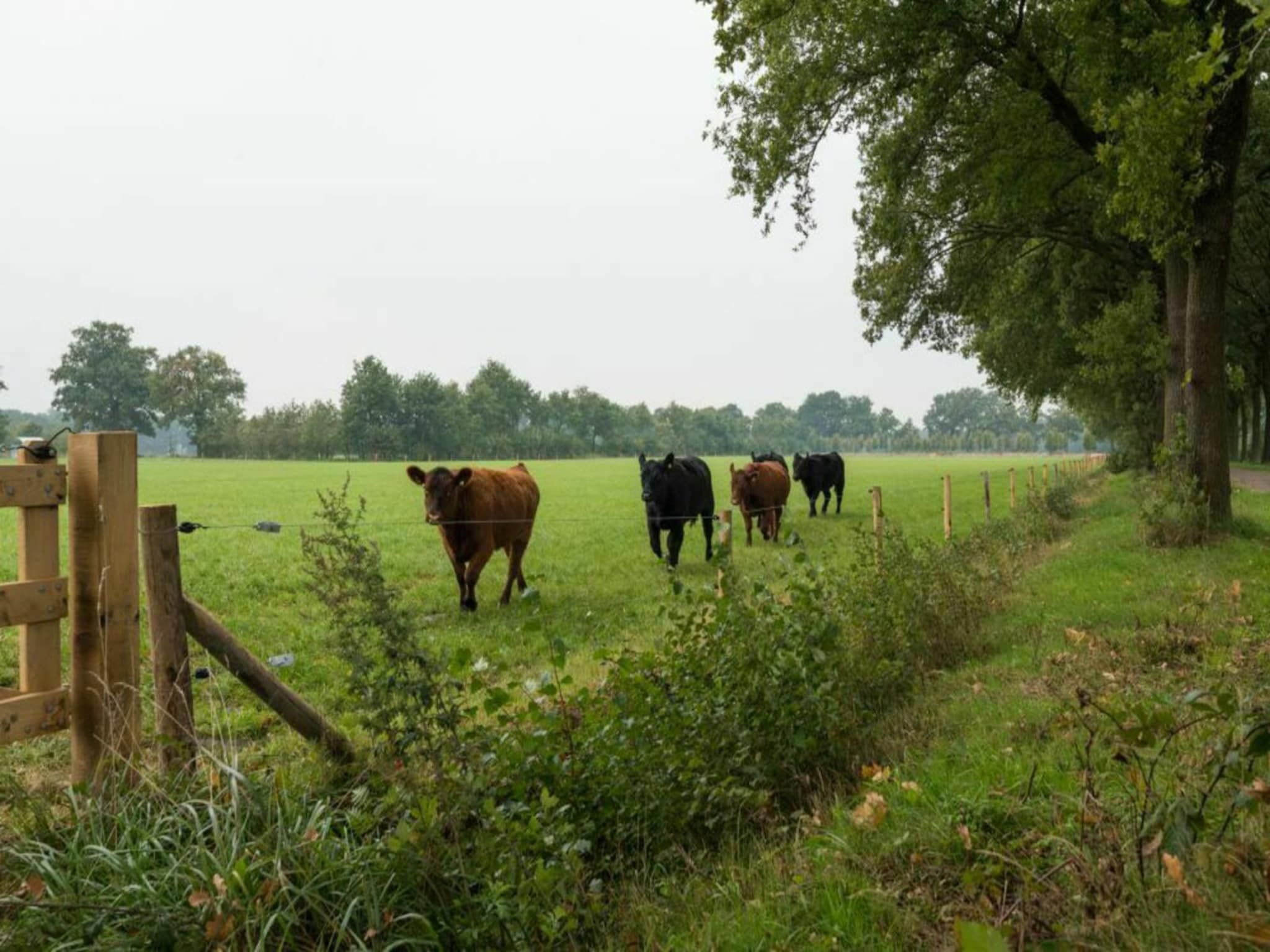 De omgeving van Boshoeve in Aalten