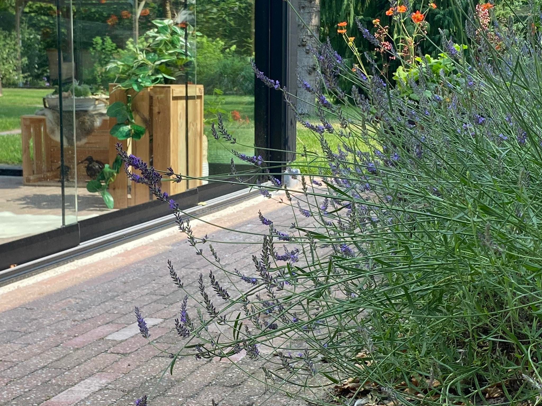 Sfeerbeeld van De Groninger Zeeuw in Bellingwolde