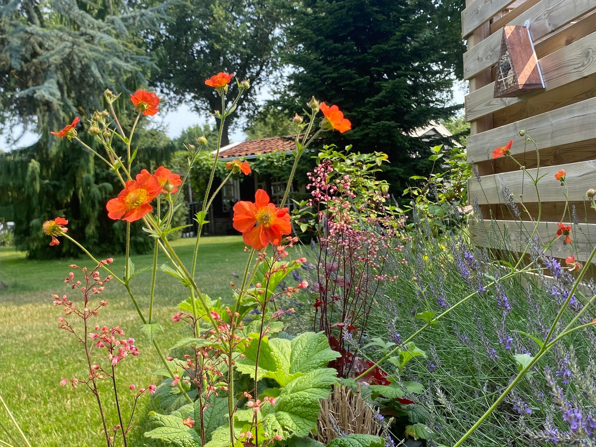 Sfeerbeeld van De Groninger Zeeuw in Bellingwolde