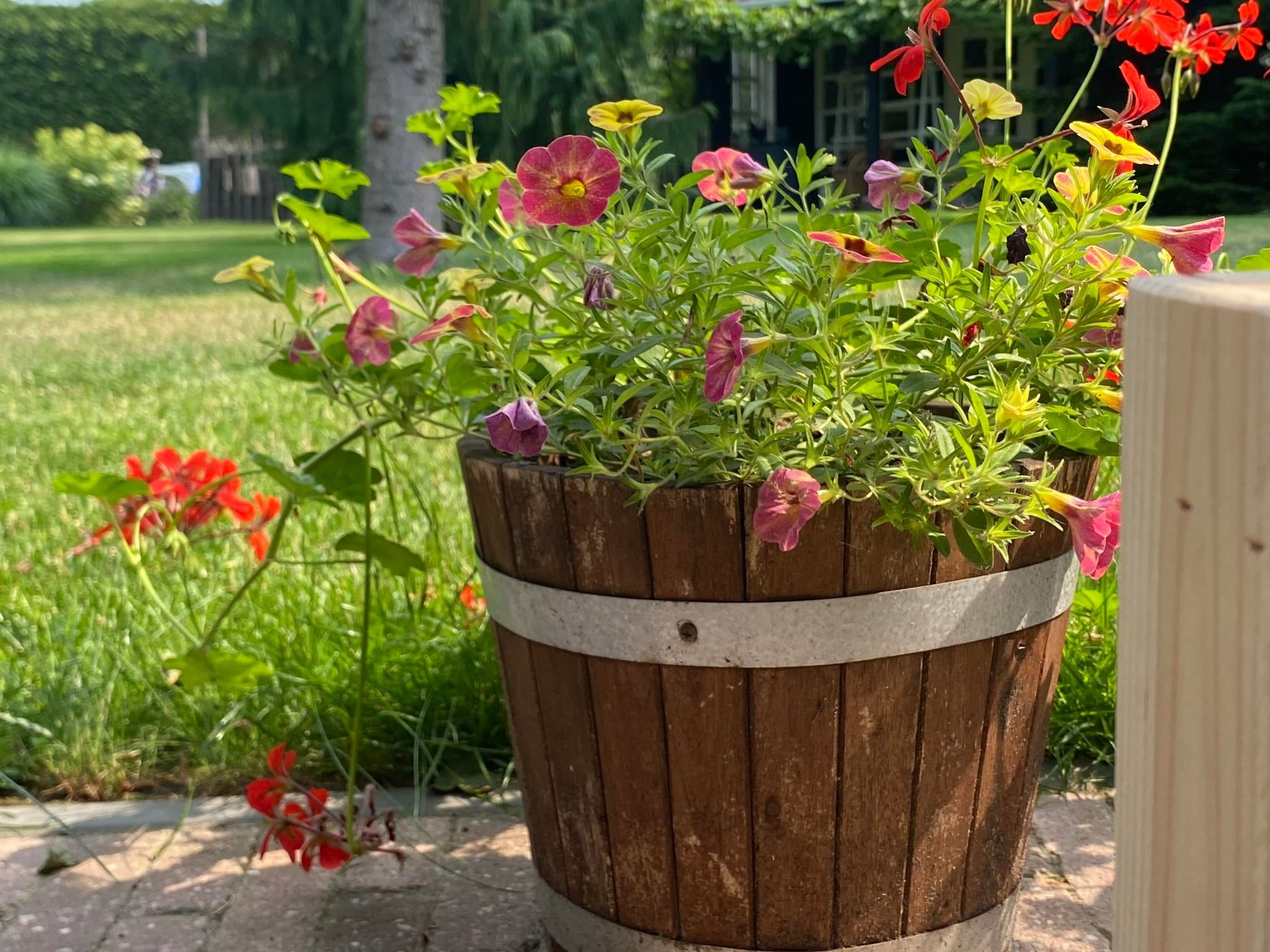 Sfeerbeeld van De Groninger Zeeuw in Bellingwolde