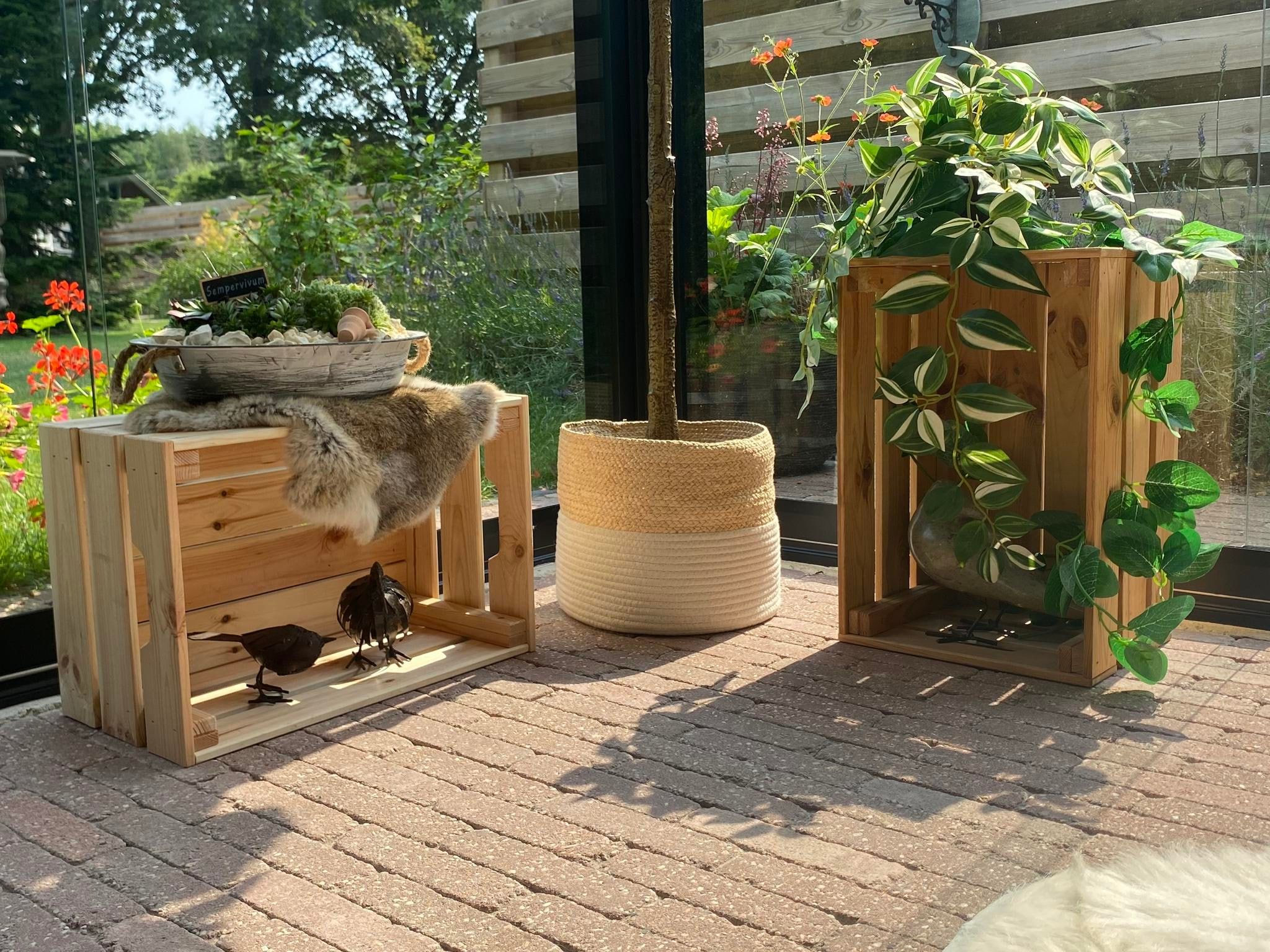 Sfeerbeeld van De Groninger Zeeuw in Bellingwolde
