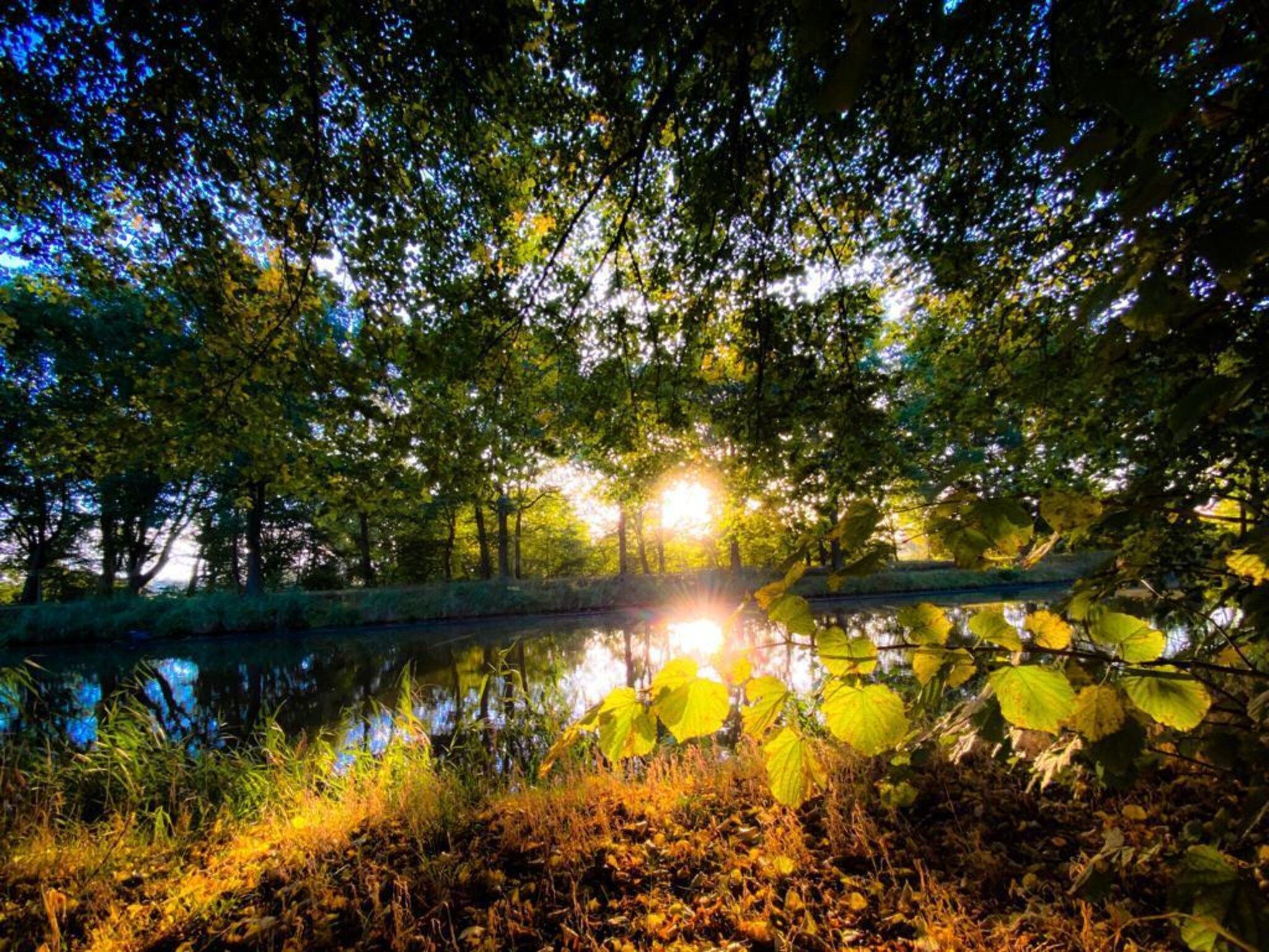 De omgeving van De Groninger Zeeuw in Bellingwolde
