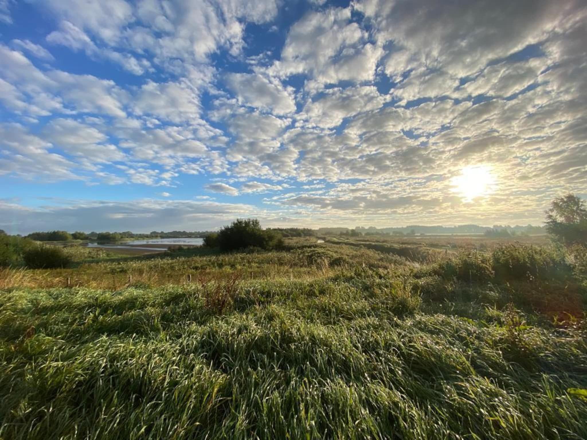 De omgeving van De Groninger Zeeuw in Bellingwolde