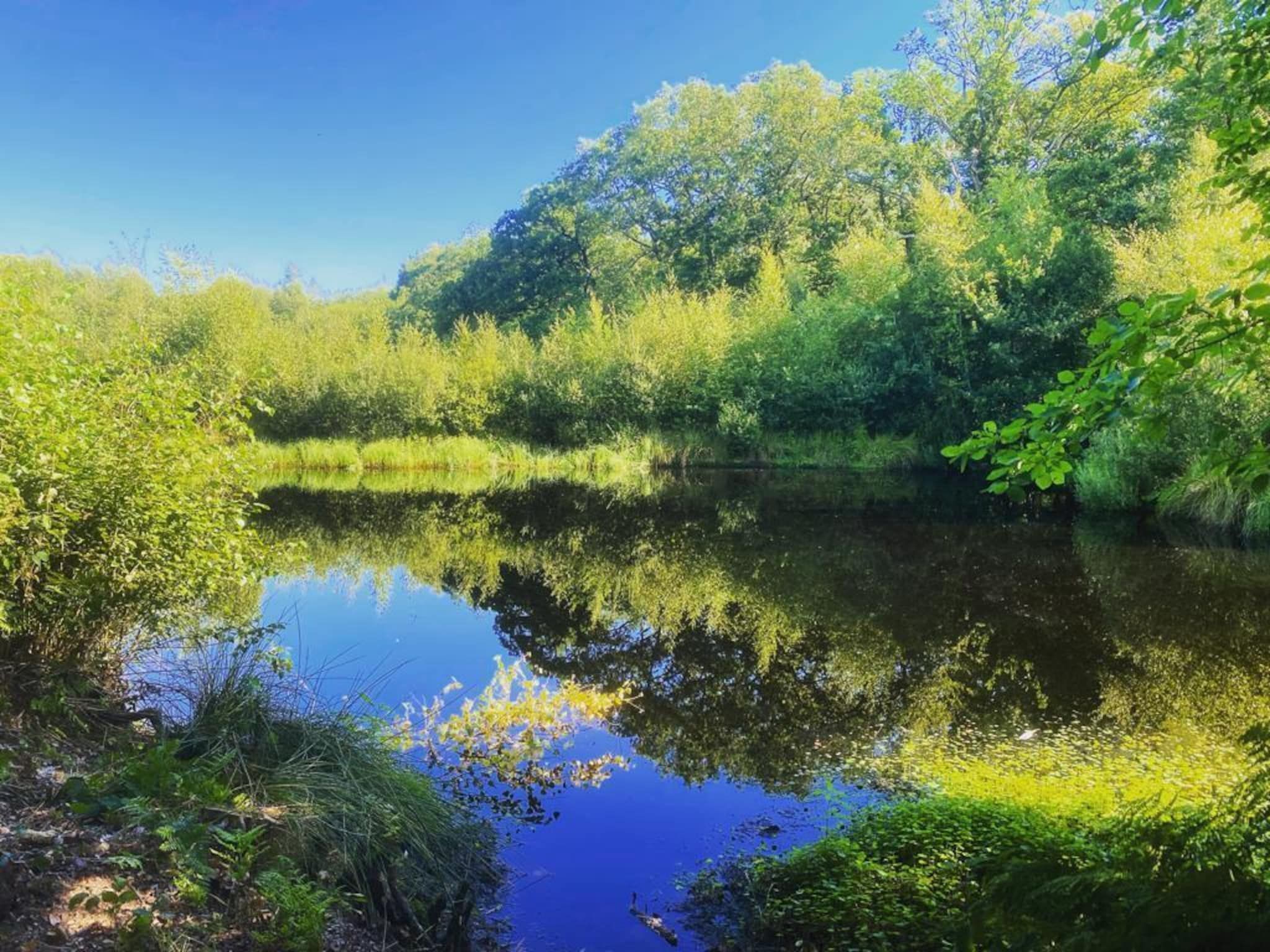 De Groninger Zeeuw in Bellingwolde - Foto 45 van 57