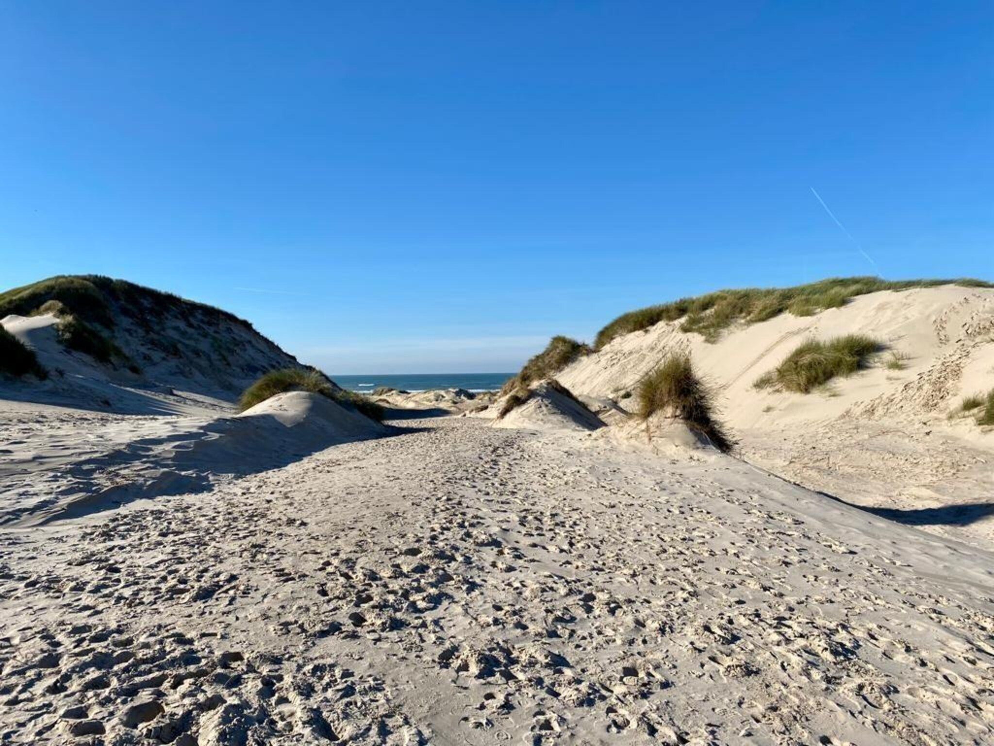 La Chatelaine 3 in Egmond aan Zee - Foto 21 van 23