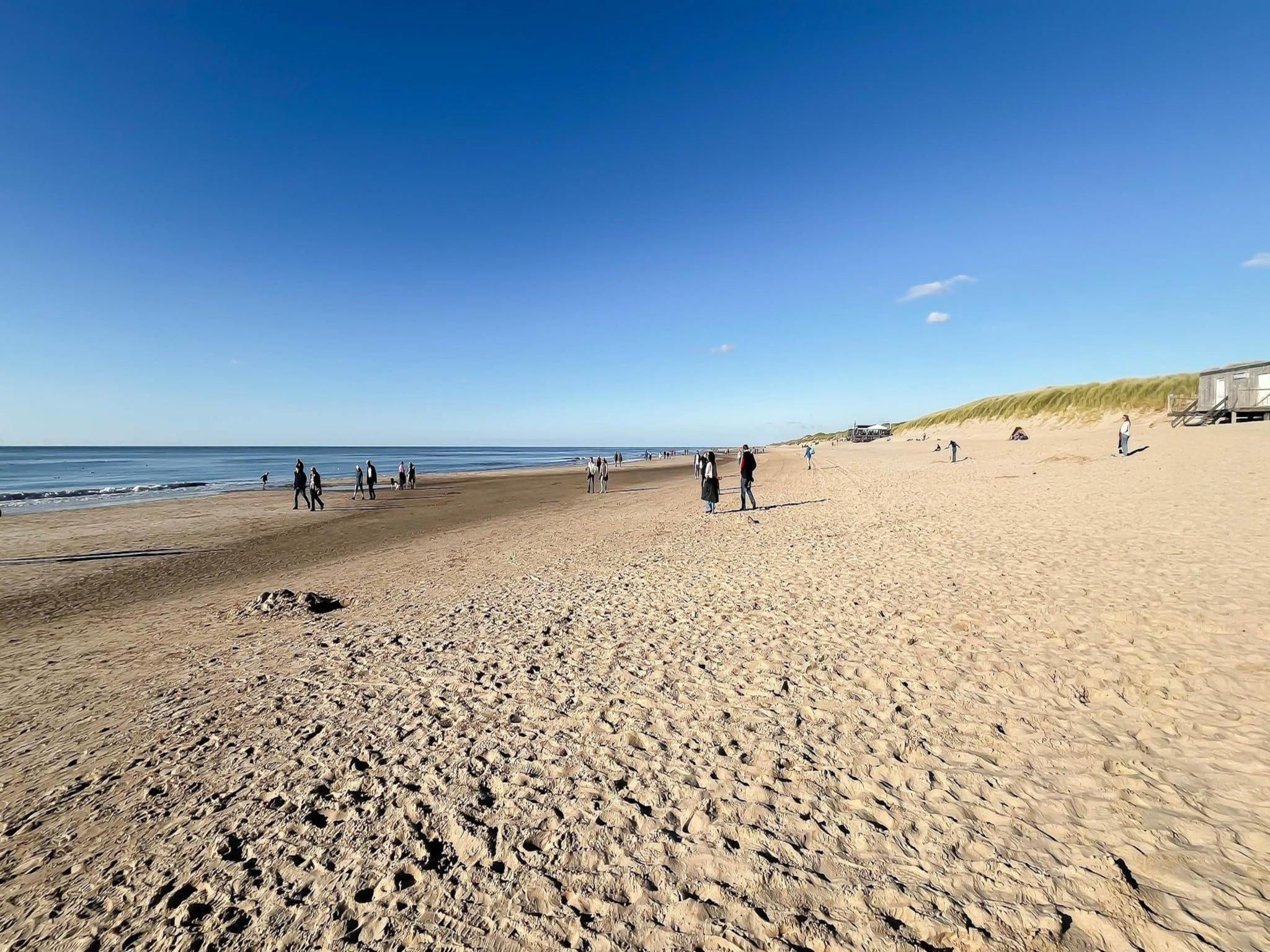 De omgeving van Maanlicht in Egmond aan Zee