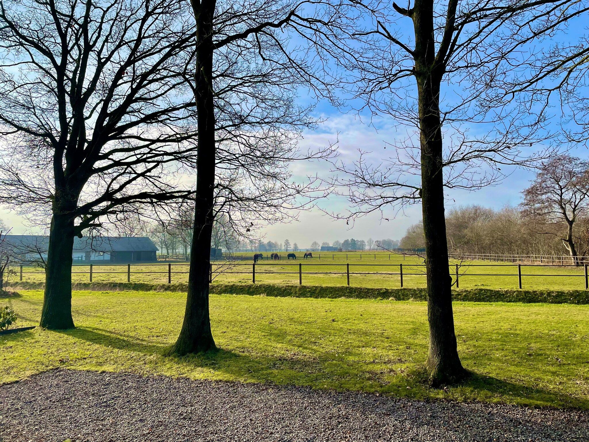 Salland Hideaway - 4 persons in Den Ham - Foto 37 van 38