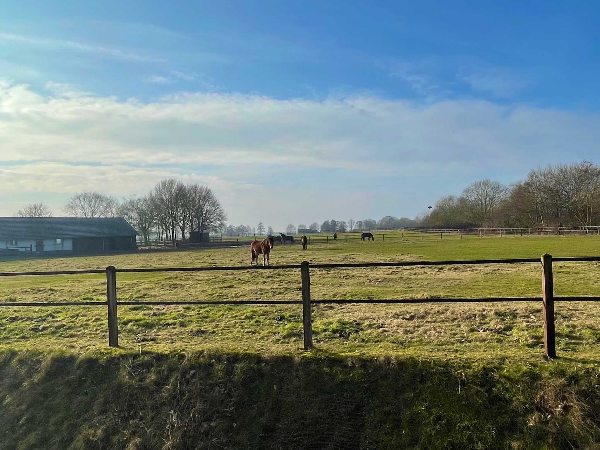 Salland Hideaway - 4 persons in Den Ham - Foto 36 van 38