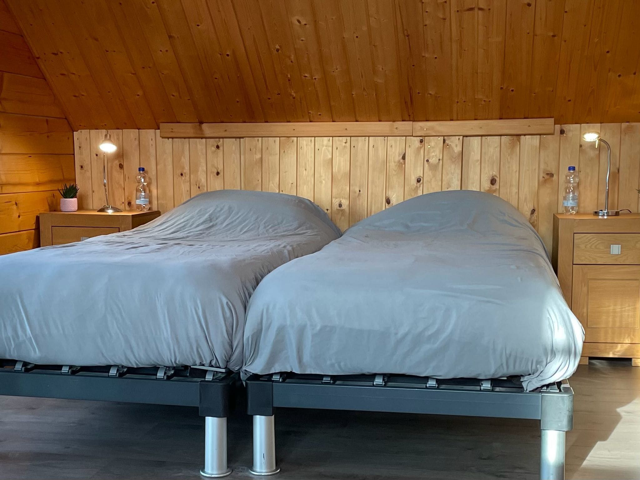 Een slaapkamer van Salland Hideaway - 6 persons in Den Ham