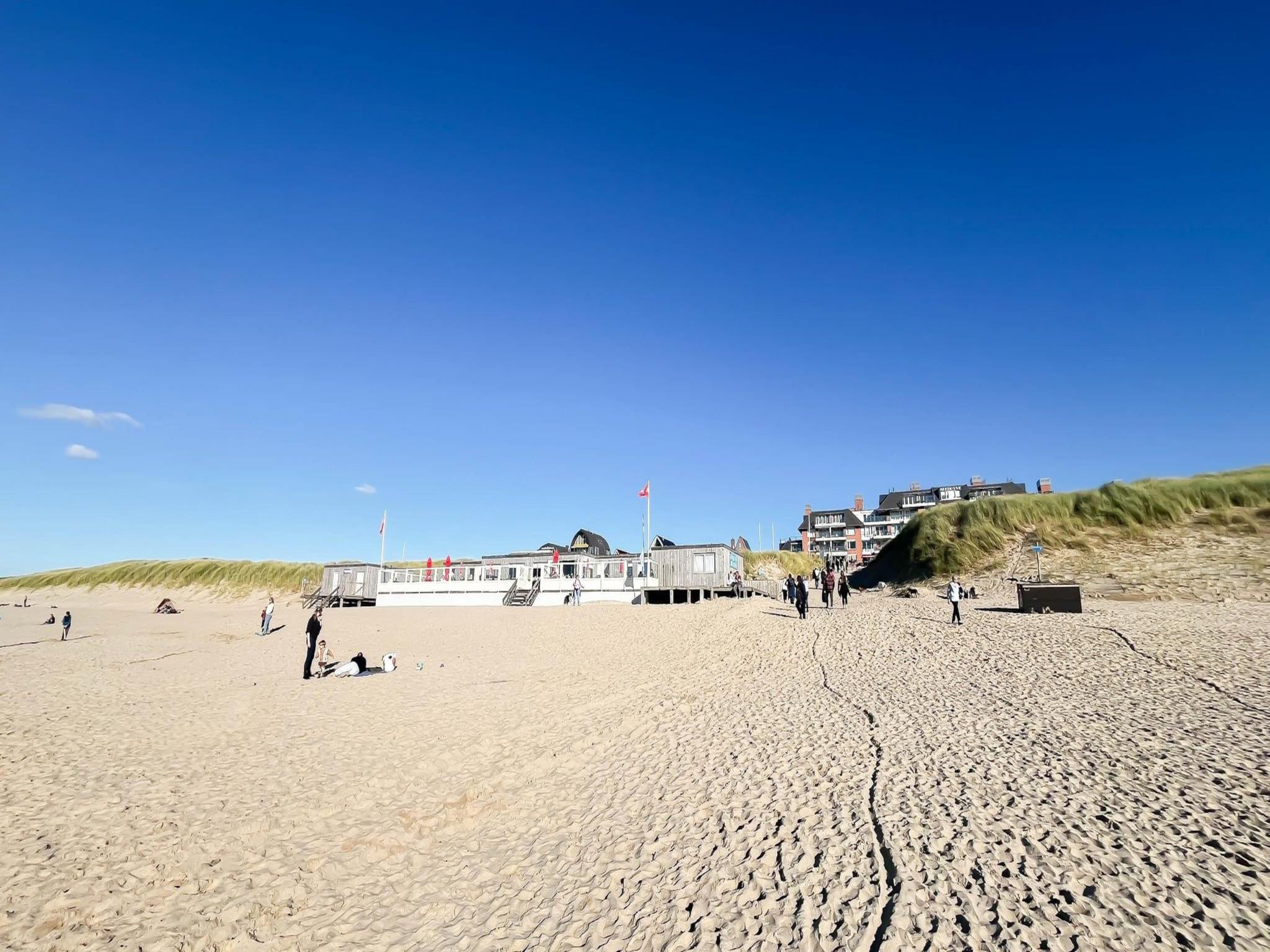 De omgeving van Sterrenlicht in Egmond aan Zee