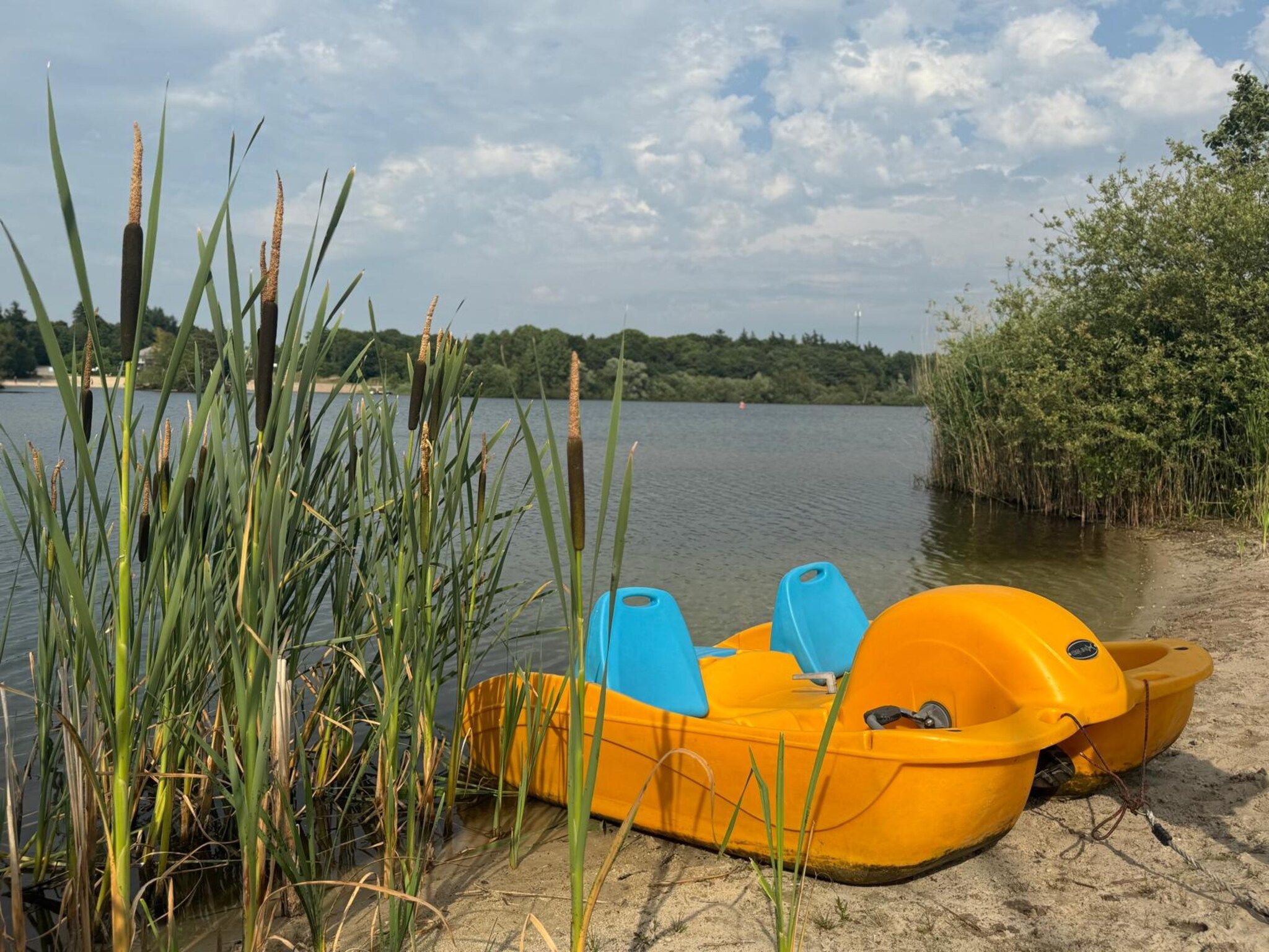 Voorzieningen bij Holiday home Torenvalk in Sibculo