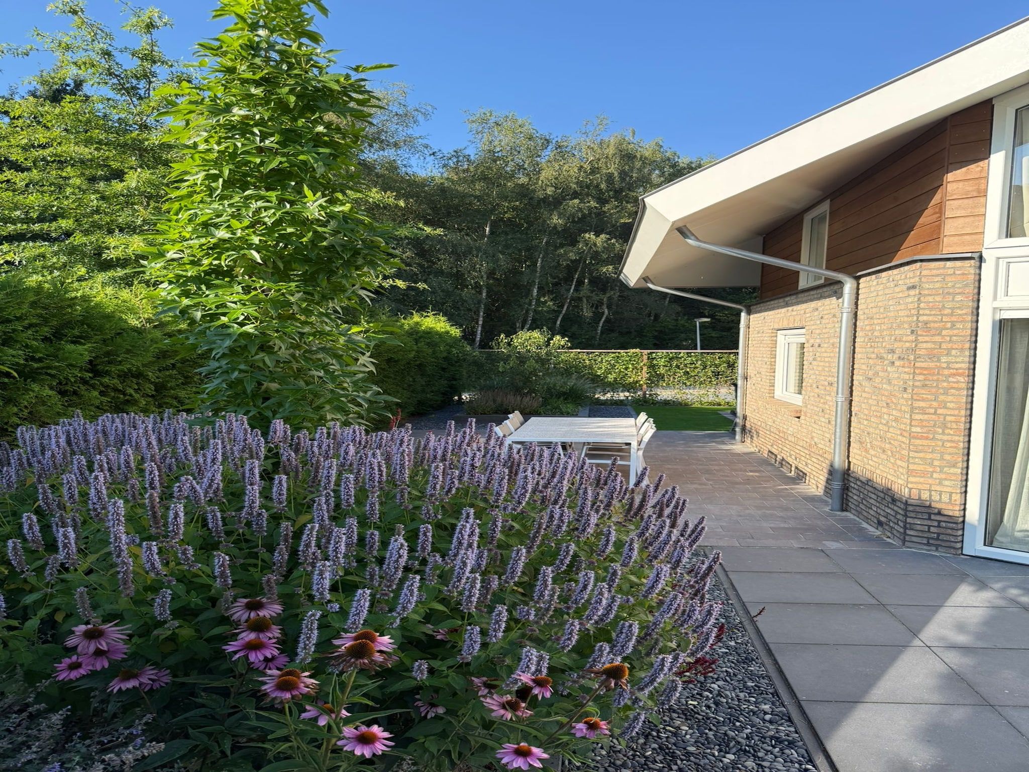 De tuin van Holiday home Torenvalk in Sibculo