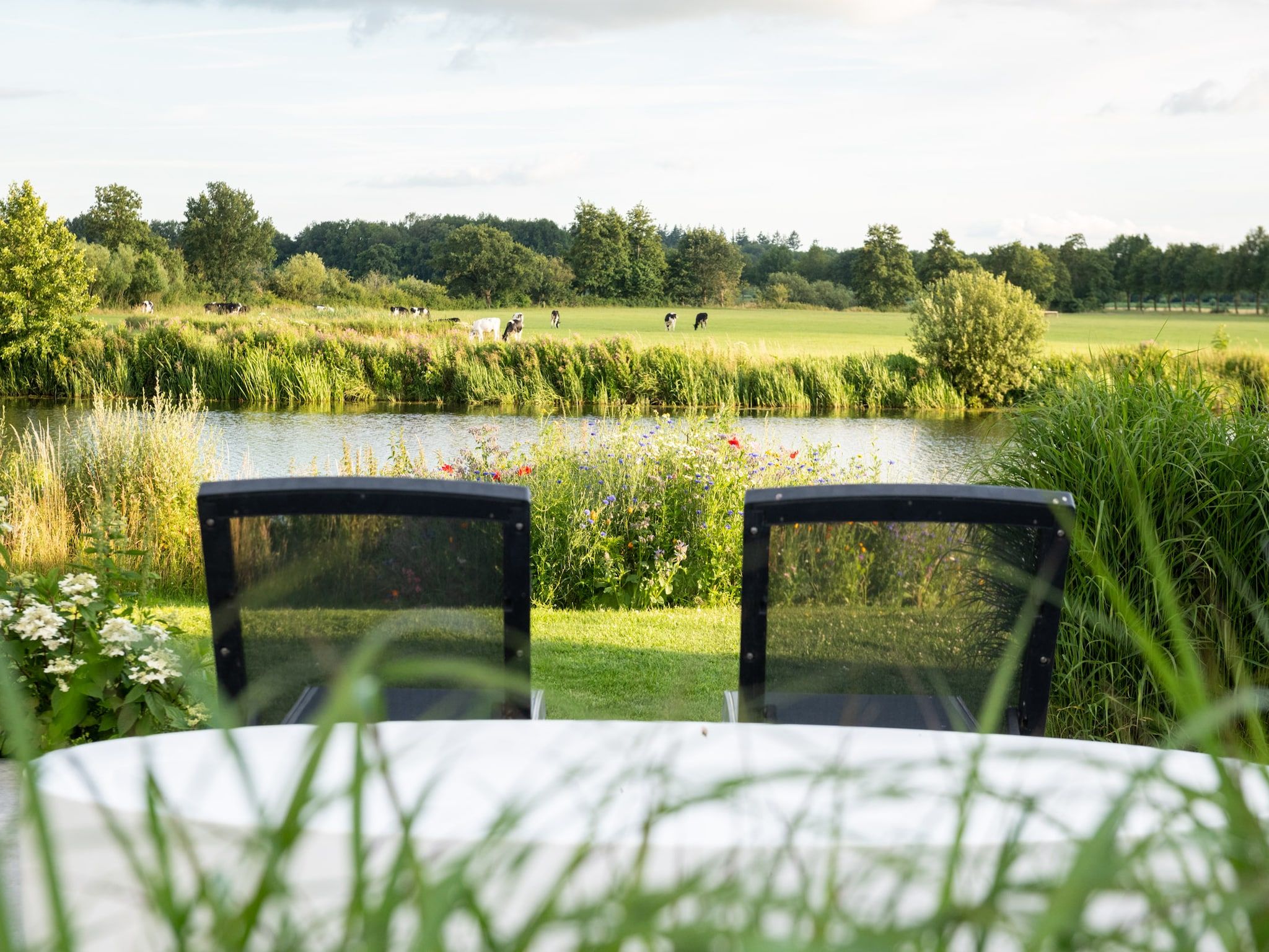 Wellness at the Vecht - Ground floor in Dalfsen - Foto 23 van 27
