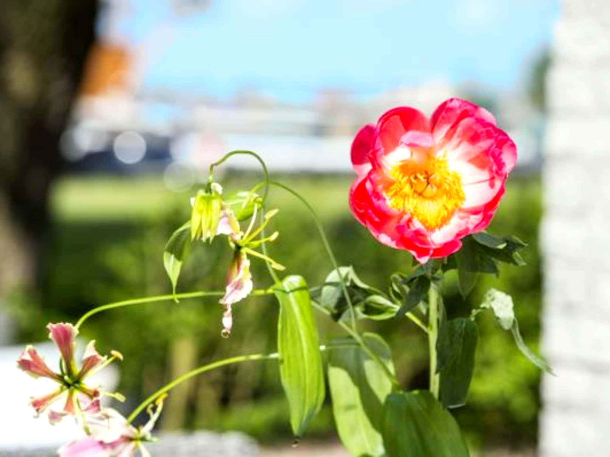 Sfeerbeeld van Comfort Bungalow in Loosdrecht