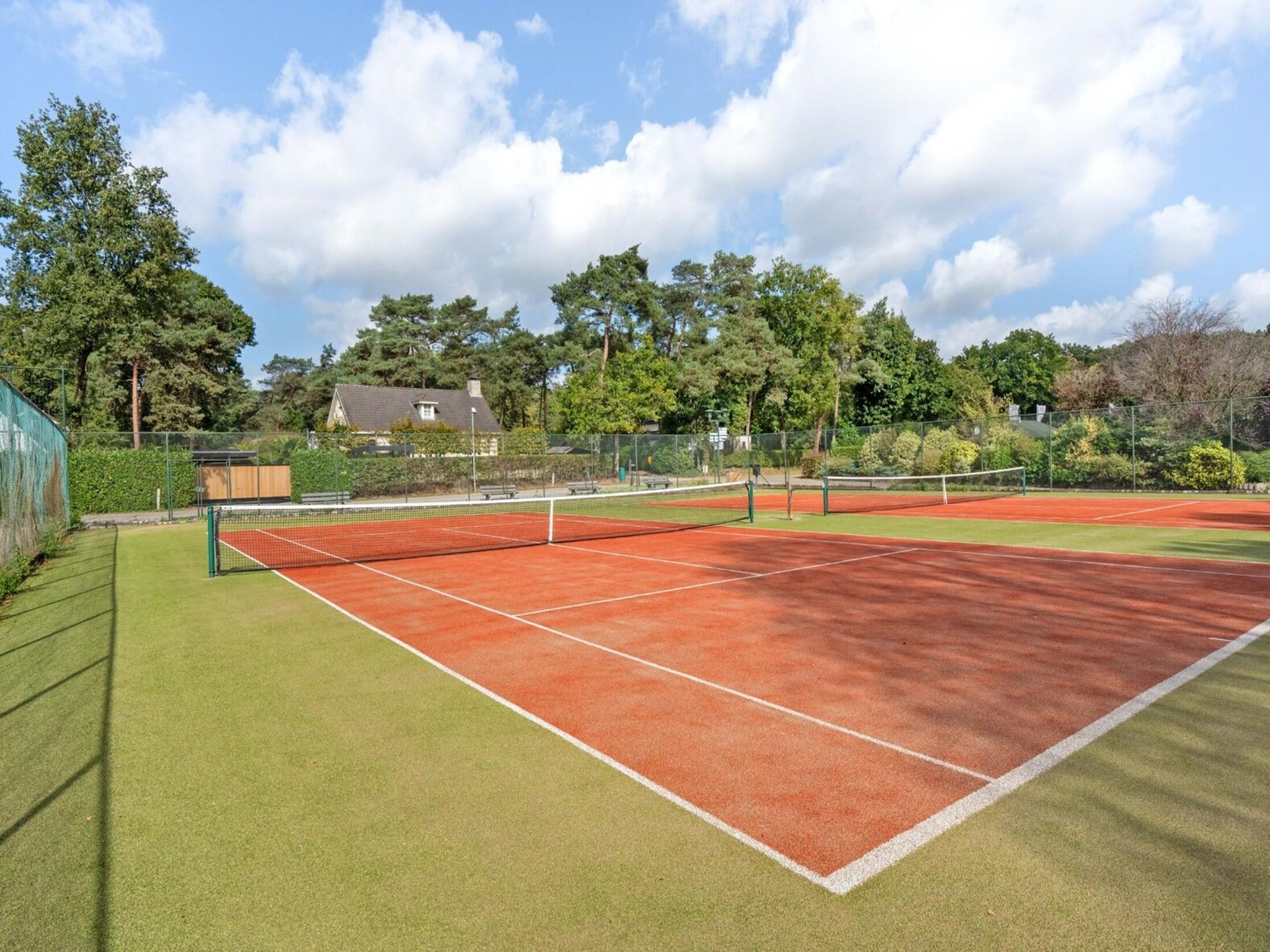 De tuin van Farm Lodge 676 in Baarle-nassau