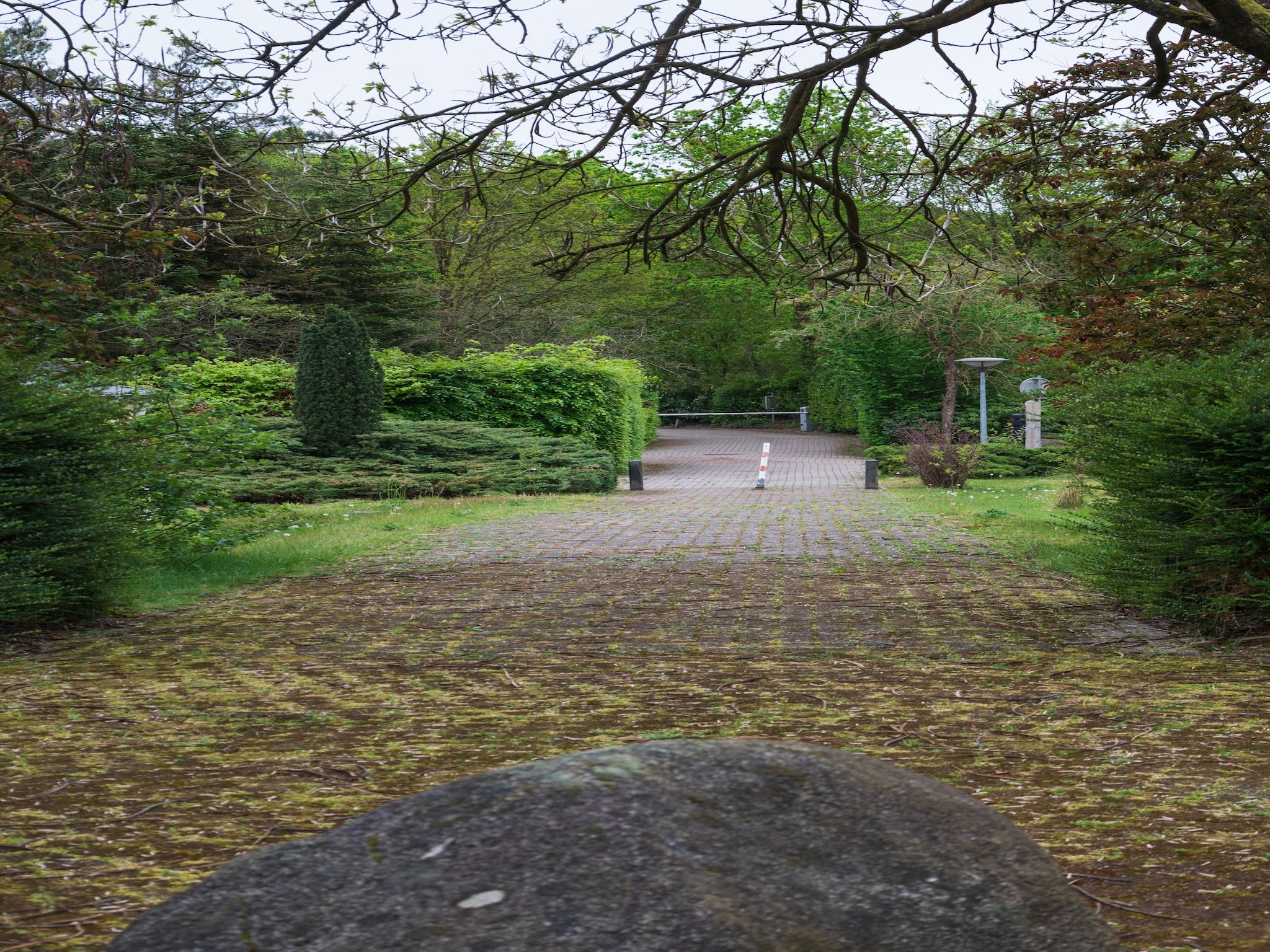 Vakantie home Coevorderweg in Stegeren - Foto 36 van 38