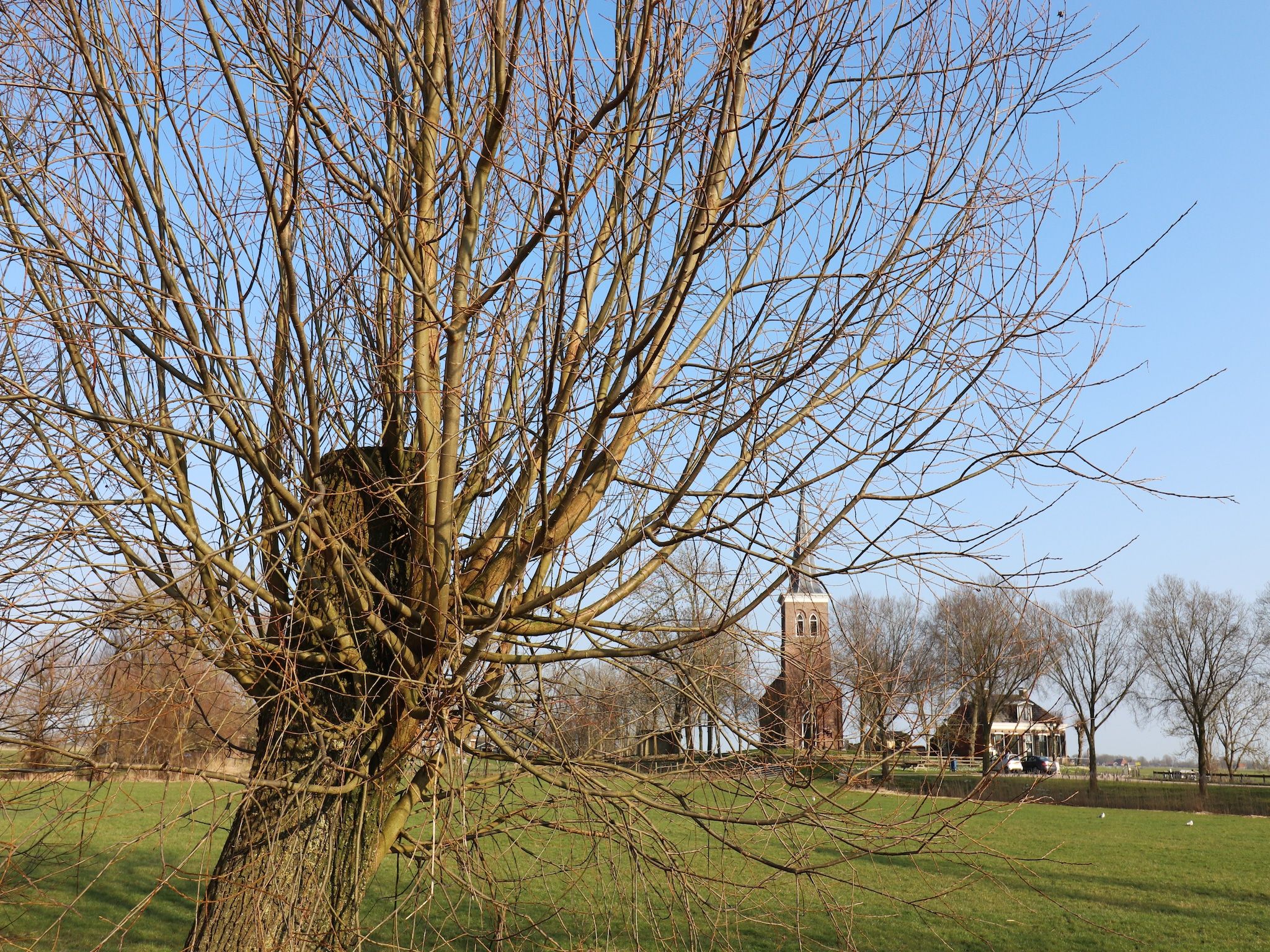 Het uitzicht vanaf Moderne hoekvilla middenin Friesland in leons